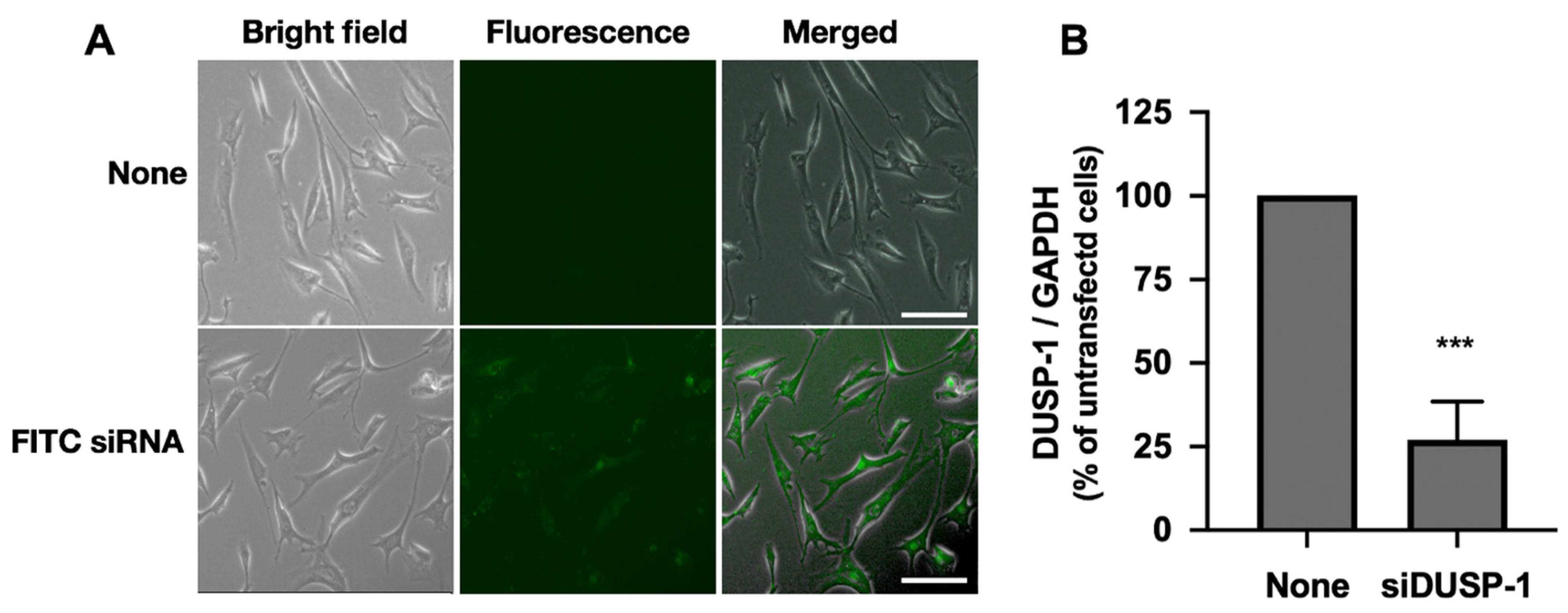 Ijms 23 00371 g004 550