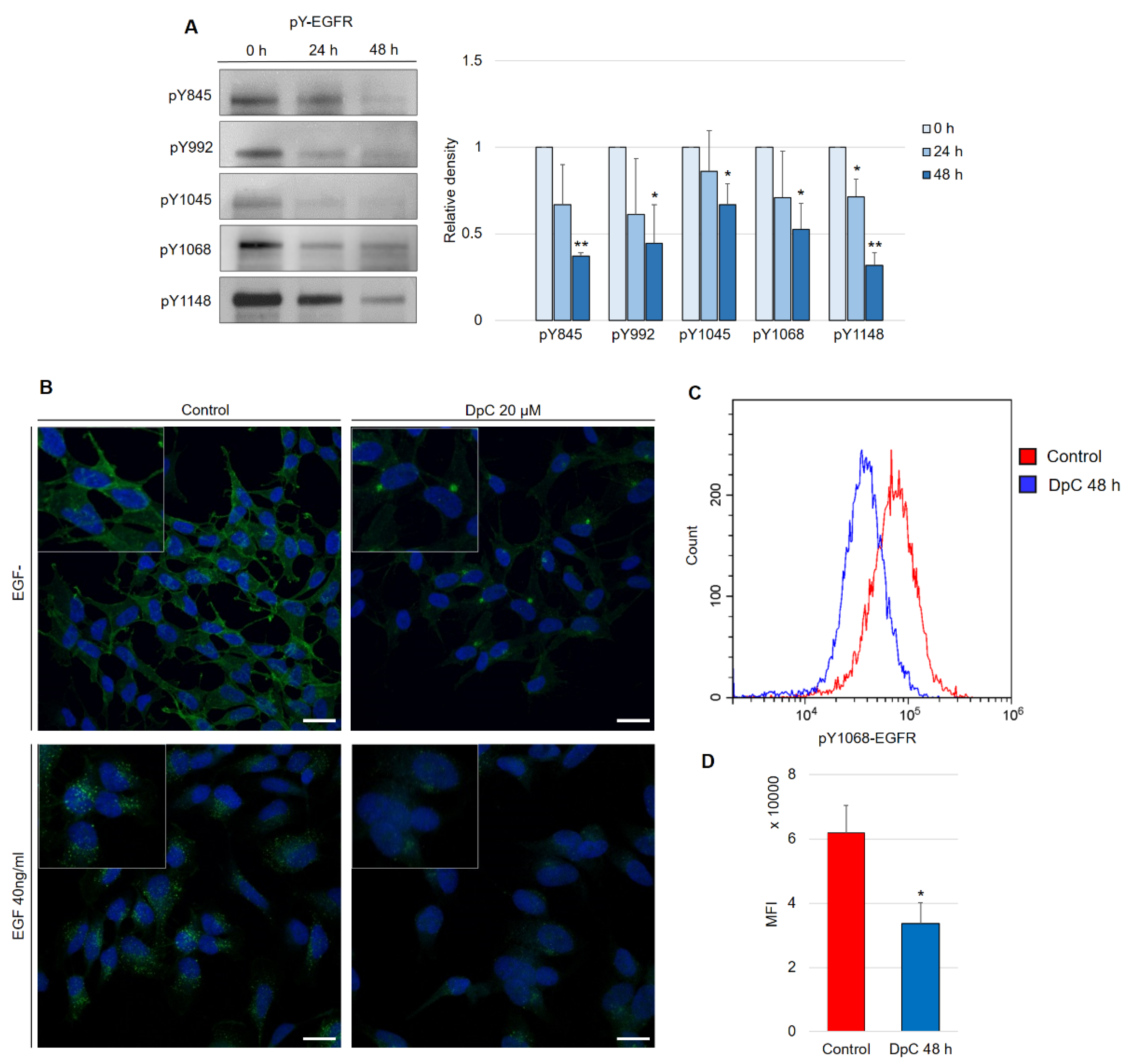 Ijms 23 00376 g004 550
