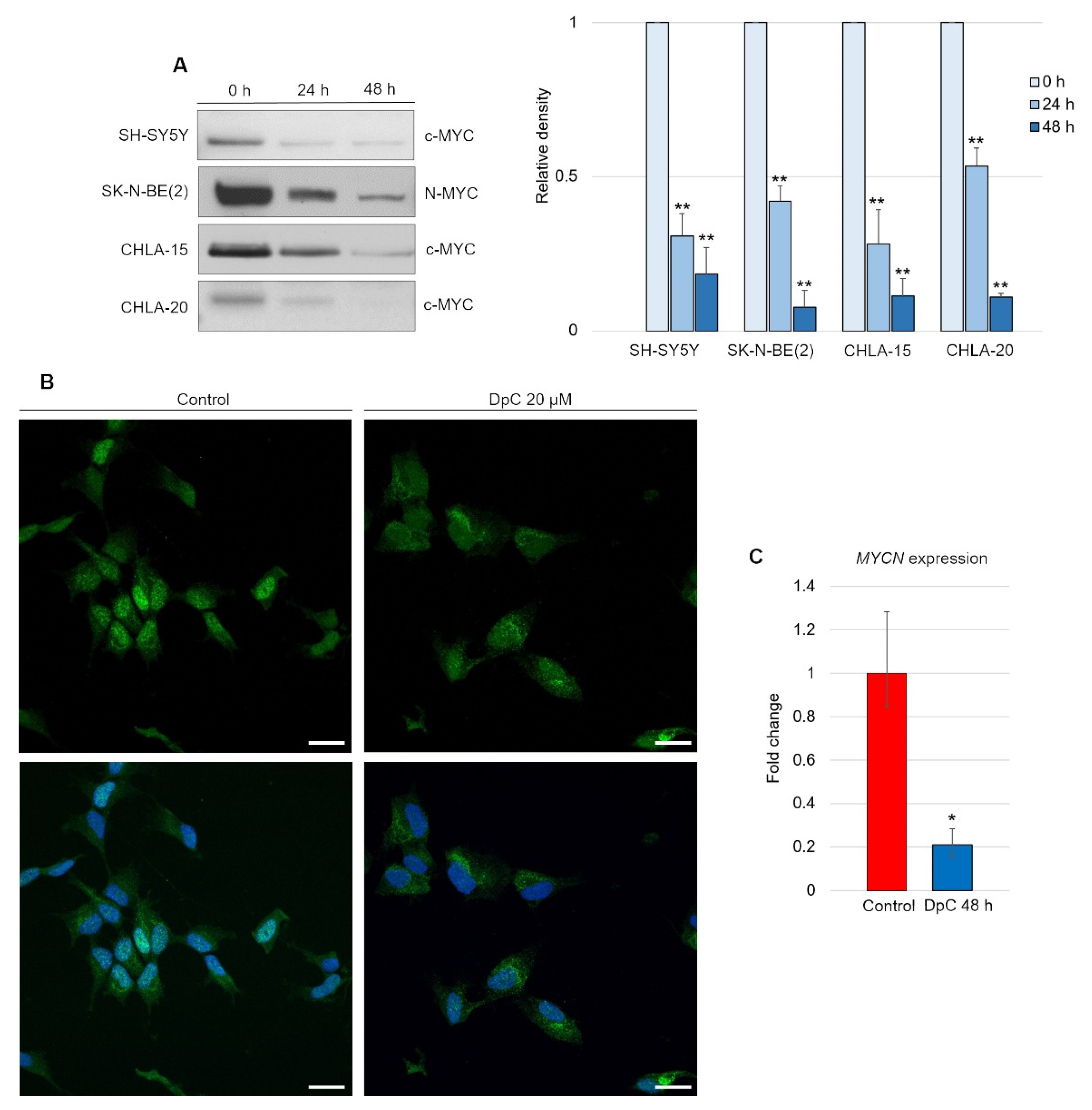 Ijms 23 00376 g007 550