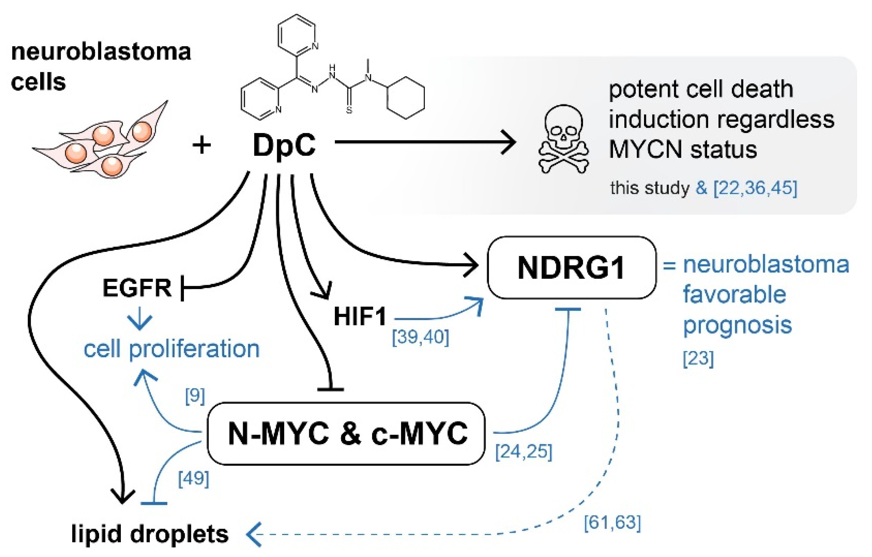 Ijms 23 00376 g009 550