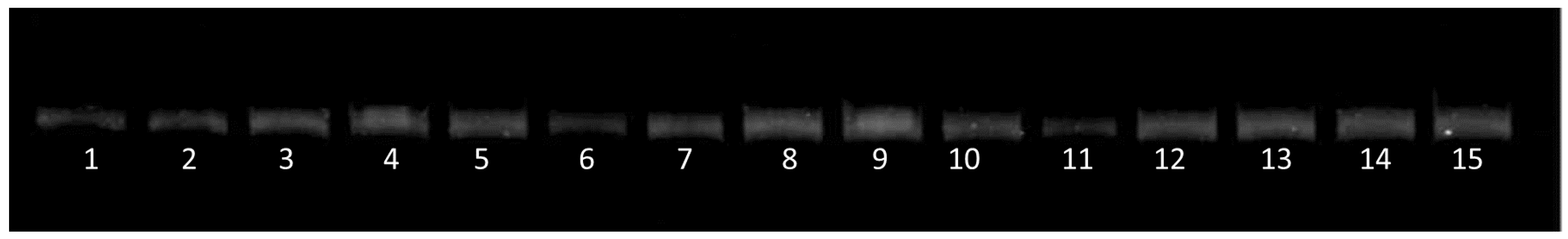 Ijms 23 00378 g001 Ijms 23 00378 g001