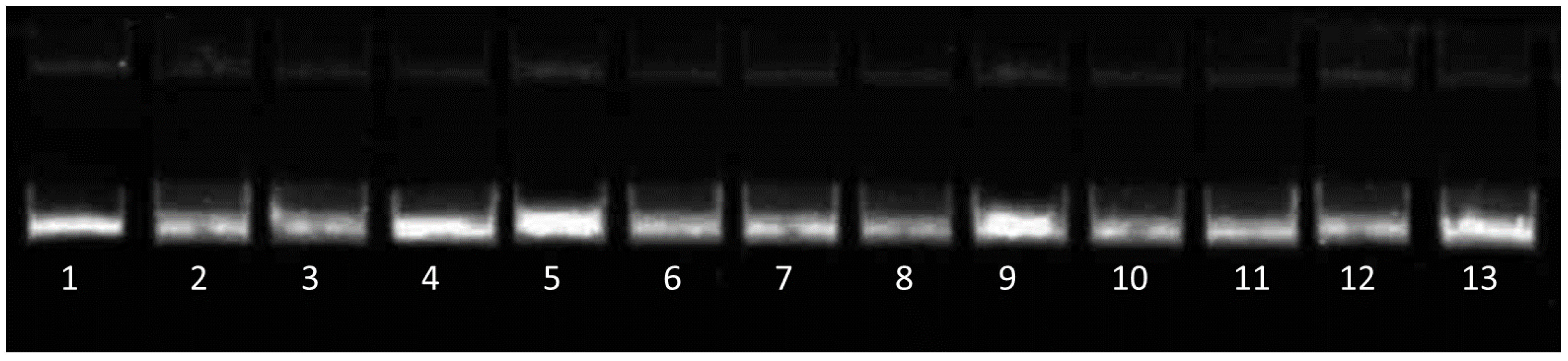 Ijms 23 00378 g002 Ijms 23 00378 g002