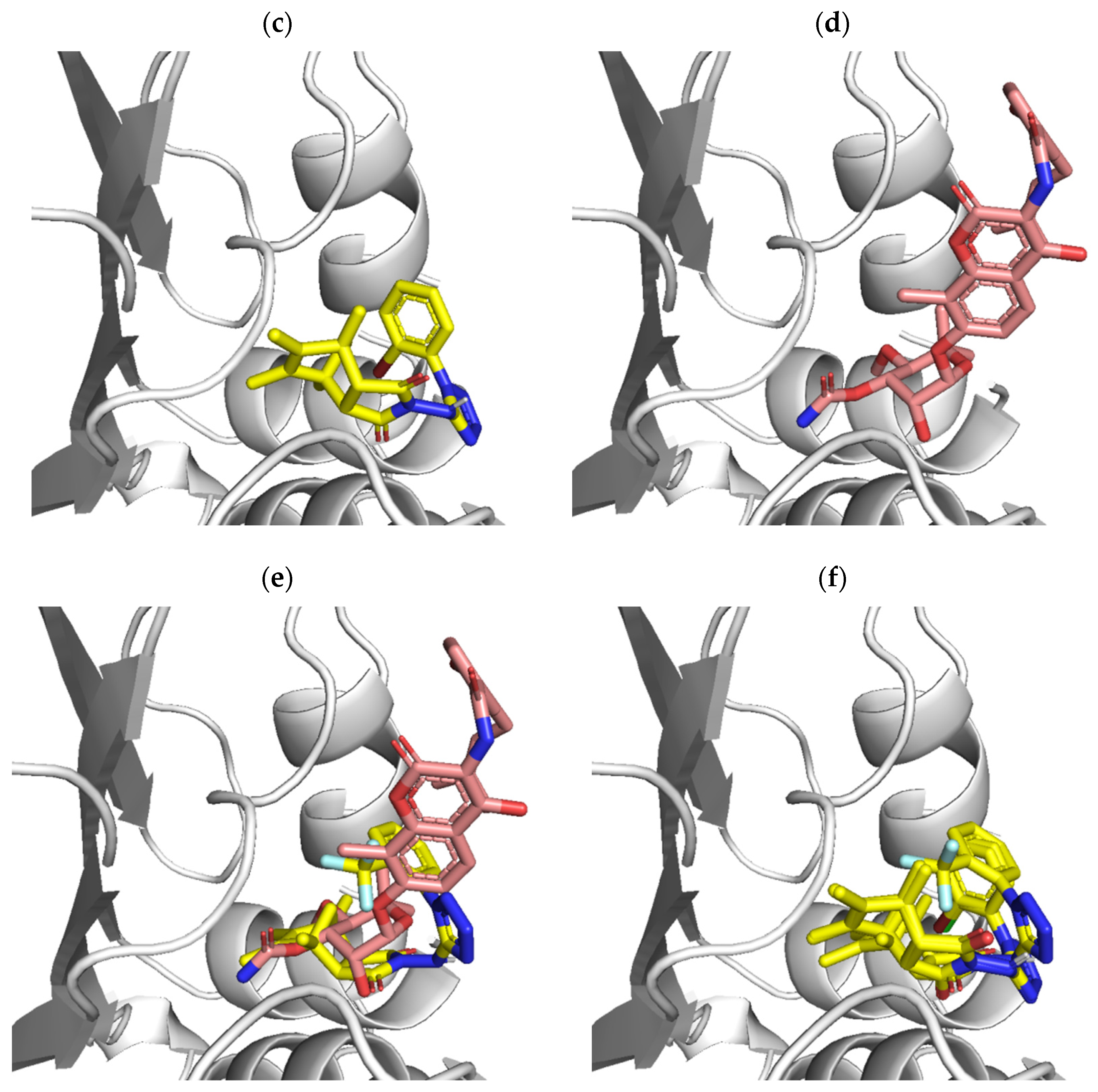 Ijms 23 00378 g003b Ijms 23 00378 g003b