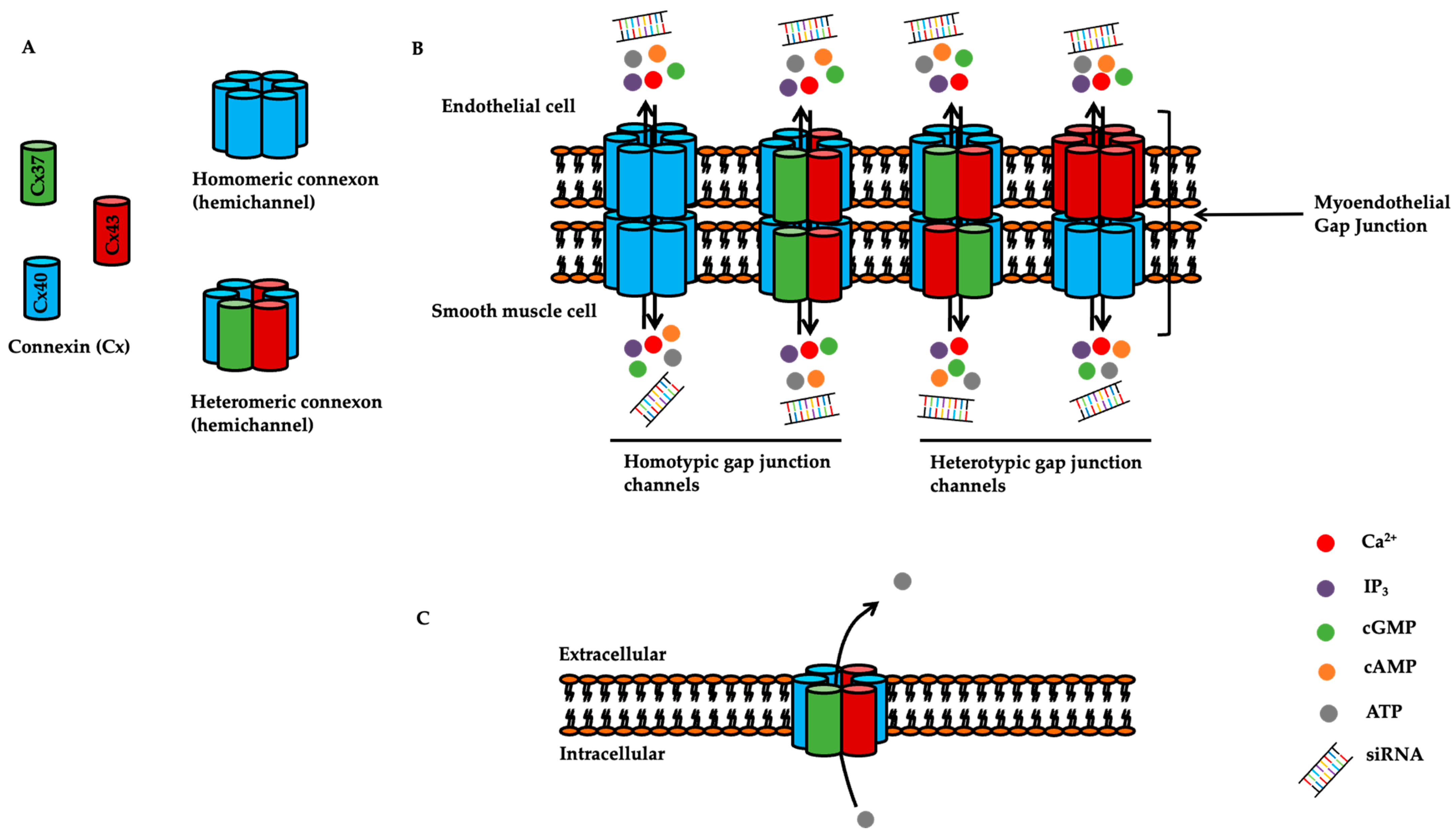 Ijms 23 00379 g001 Ijms 23 00379 g001