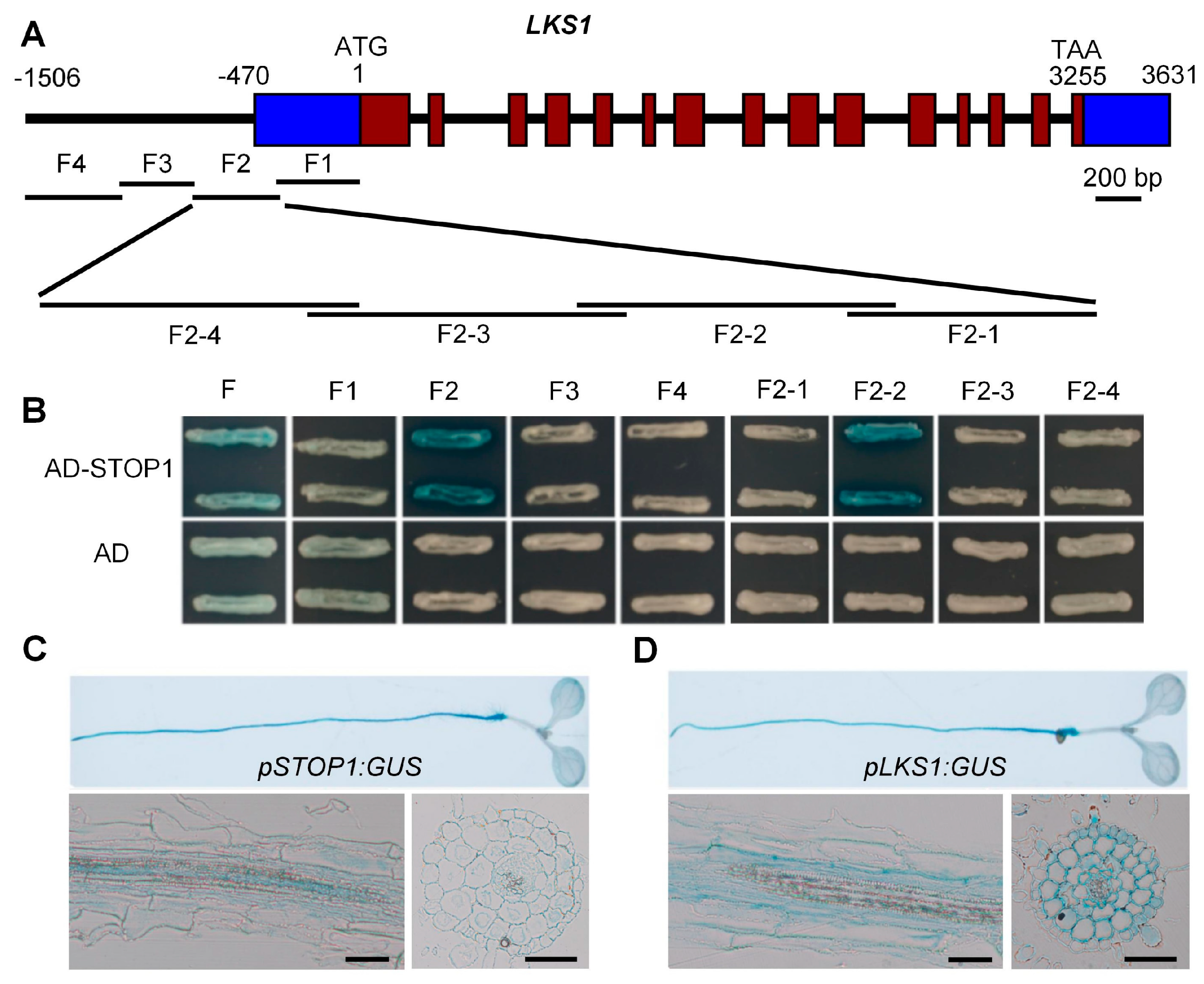 Ijms 23 00383 g001 550