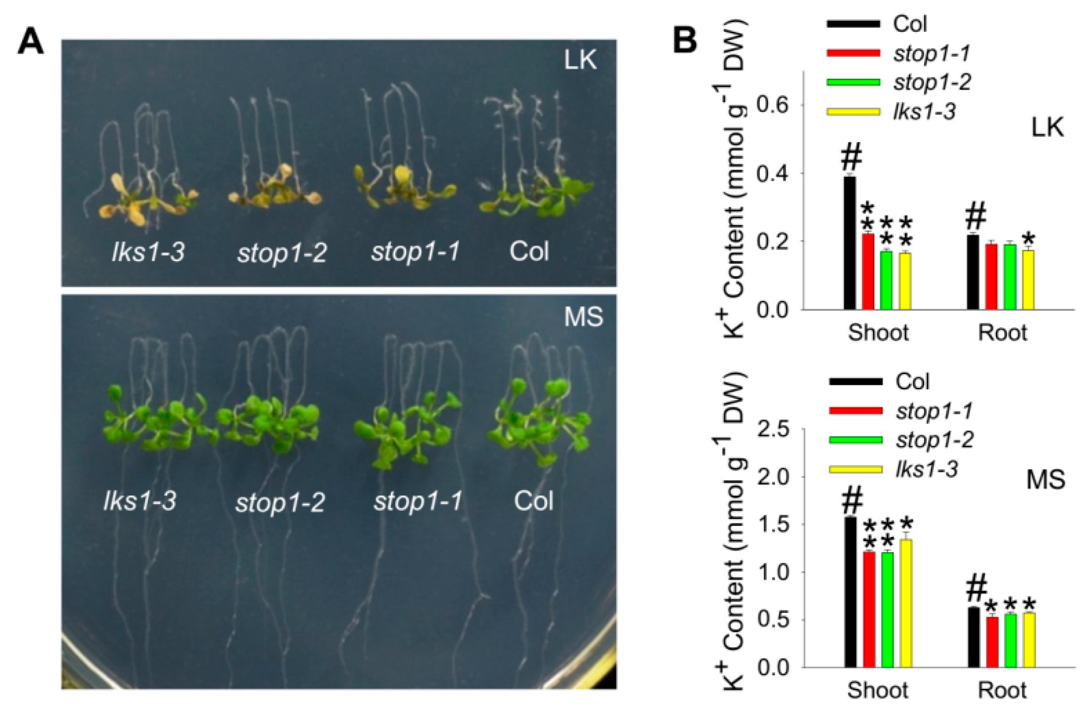 Ijms 23 00383 g002 550