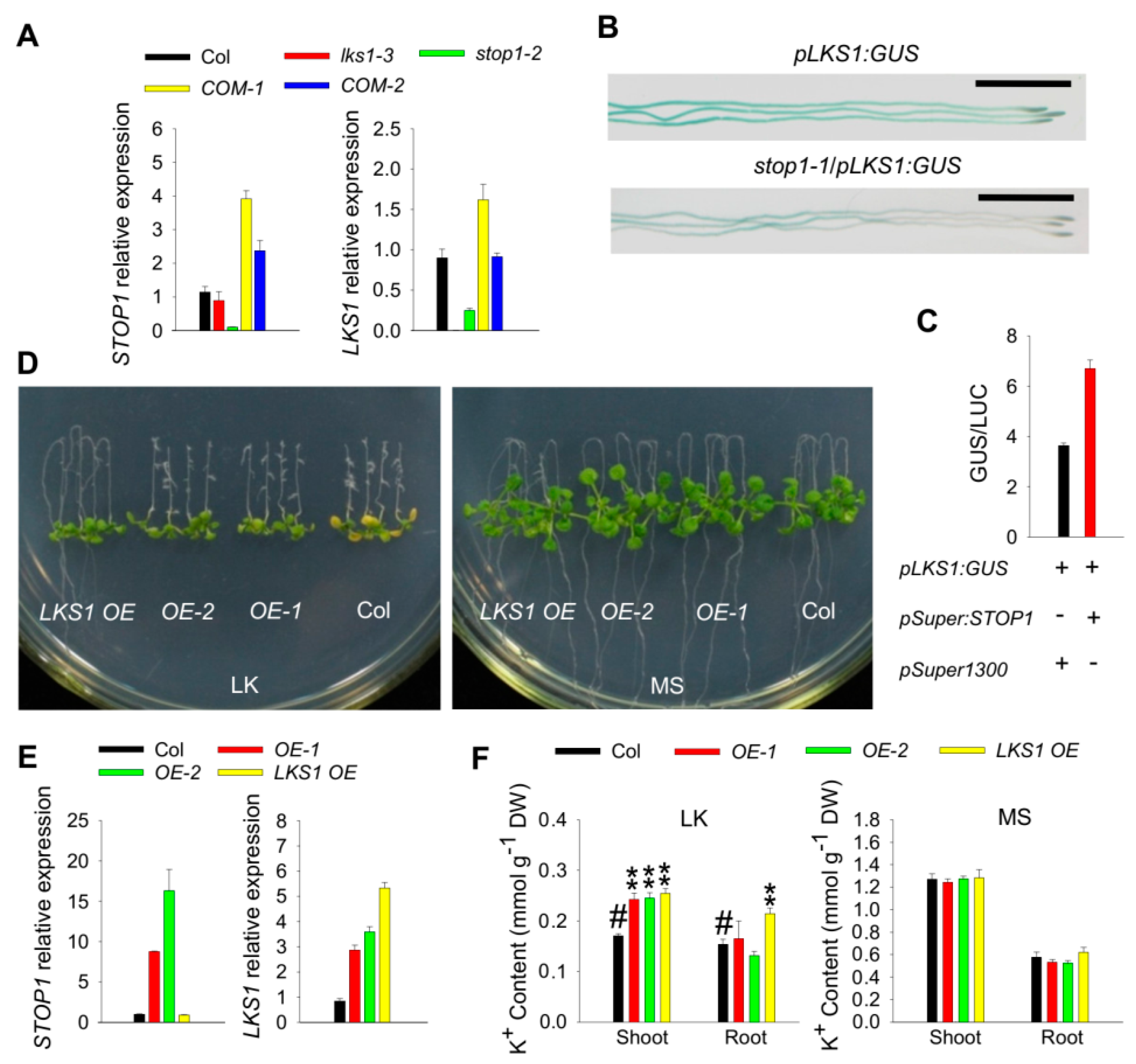 Ijms 23 00383 g003 550