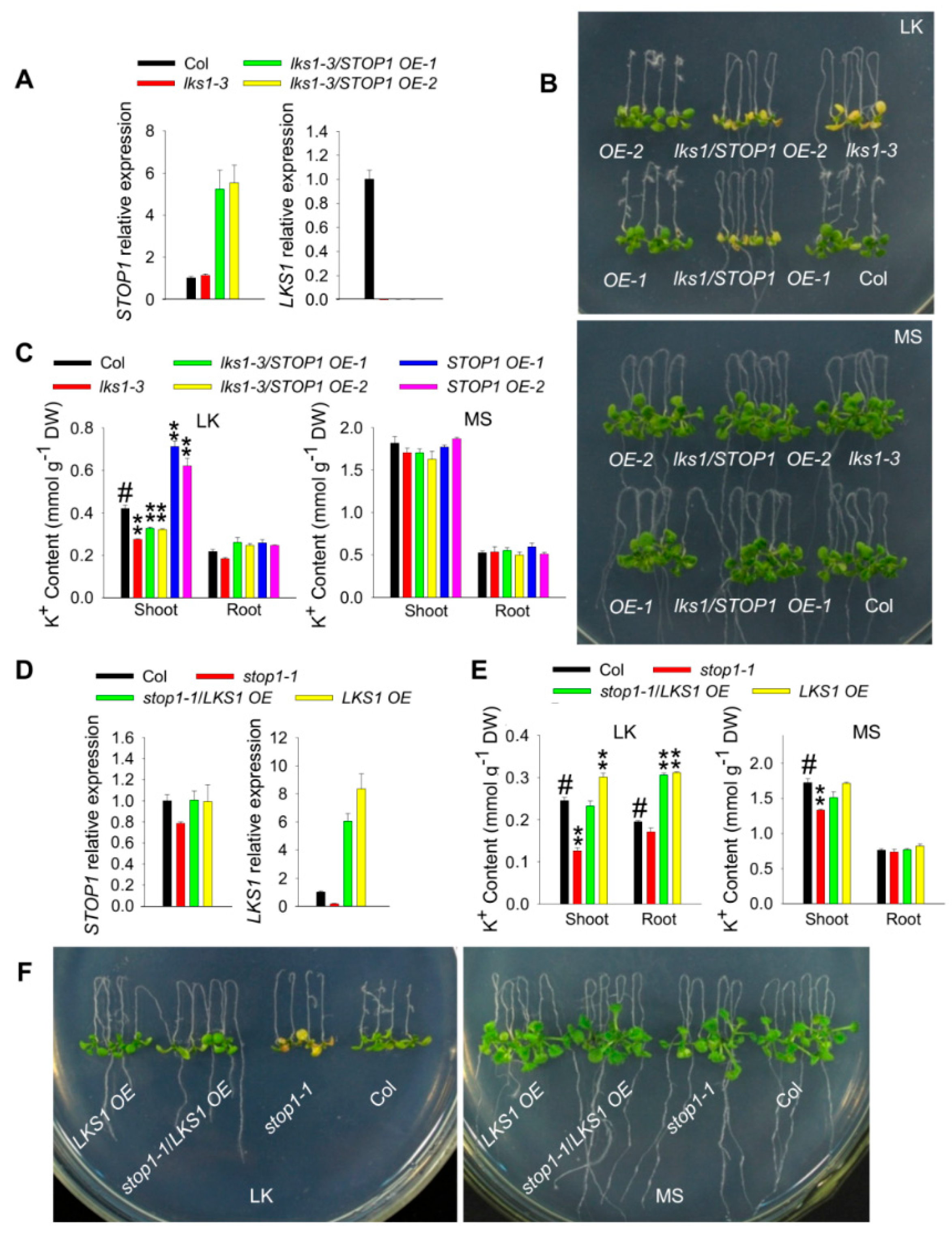 Ijms 23 00383 g004 550