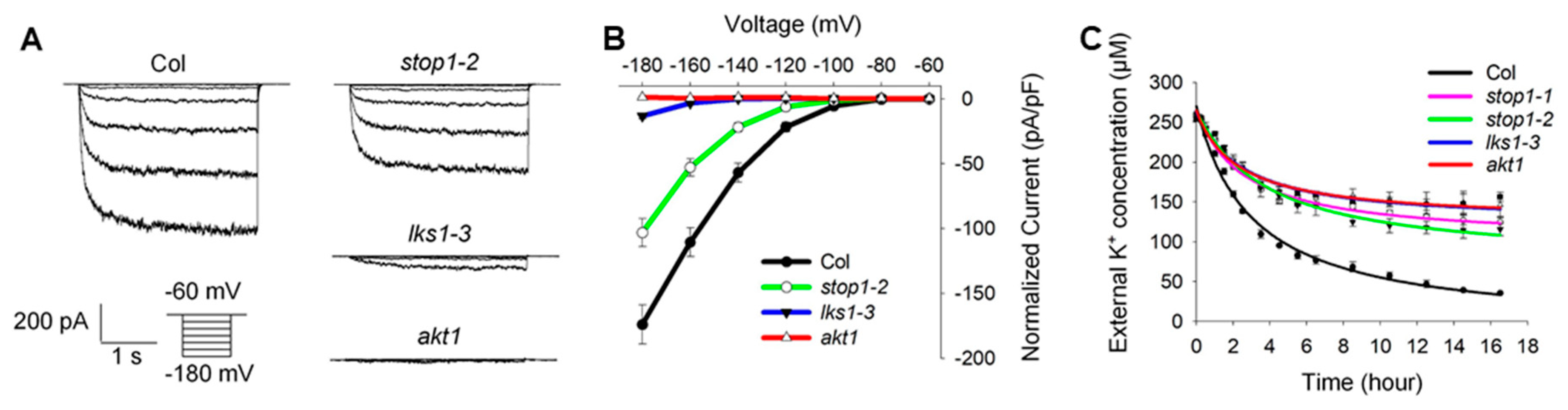 Ijms 23 00383 g006 550