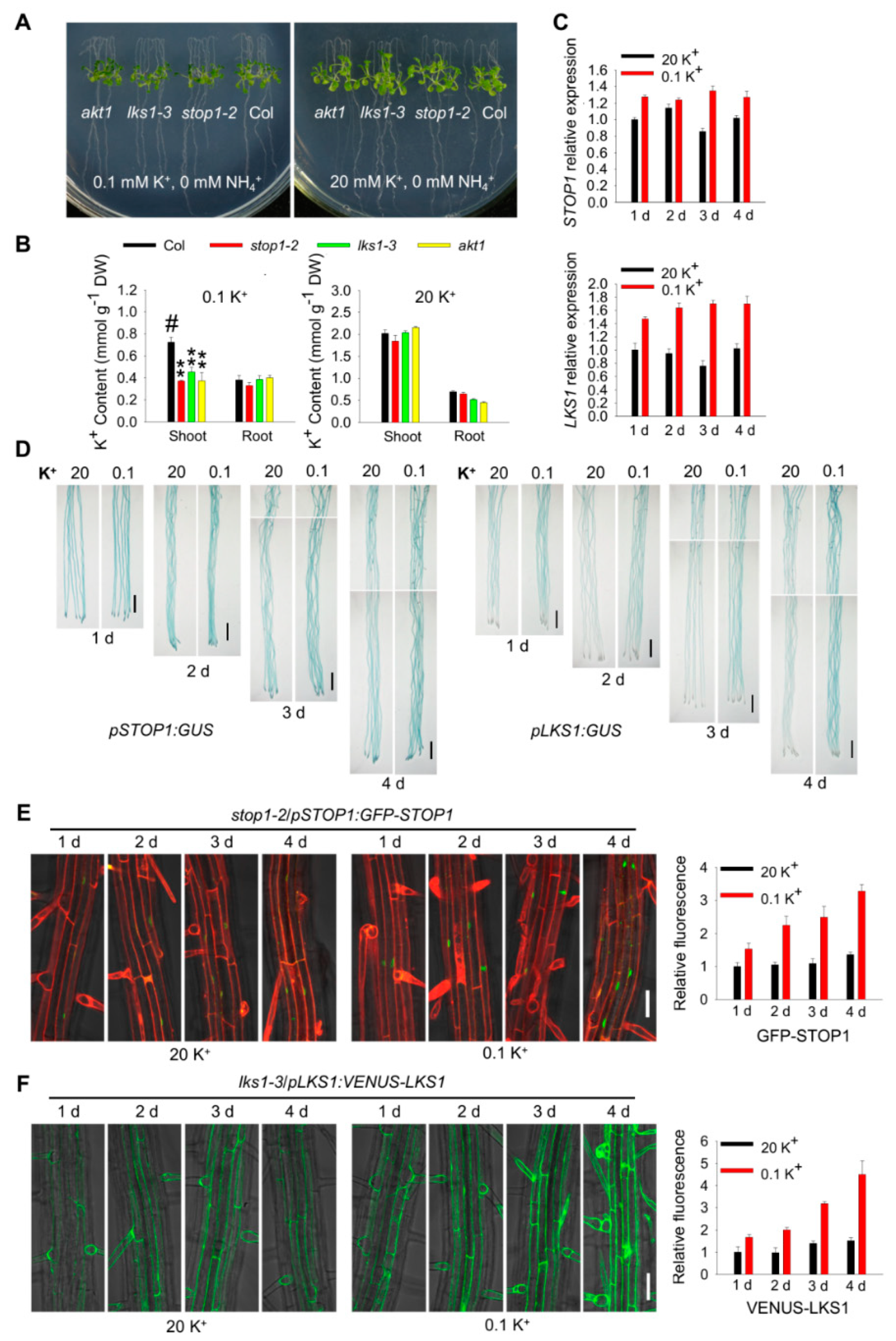 Ijms 23 00383 g008 550
