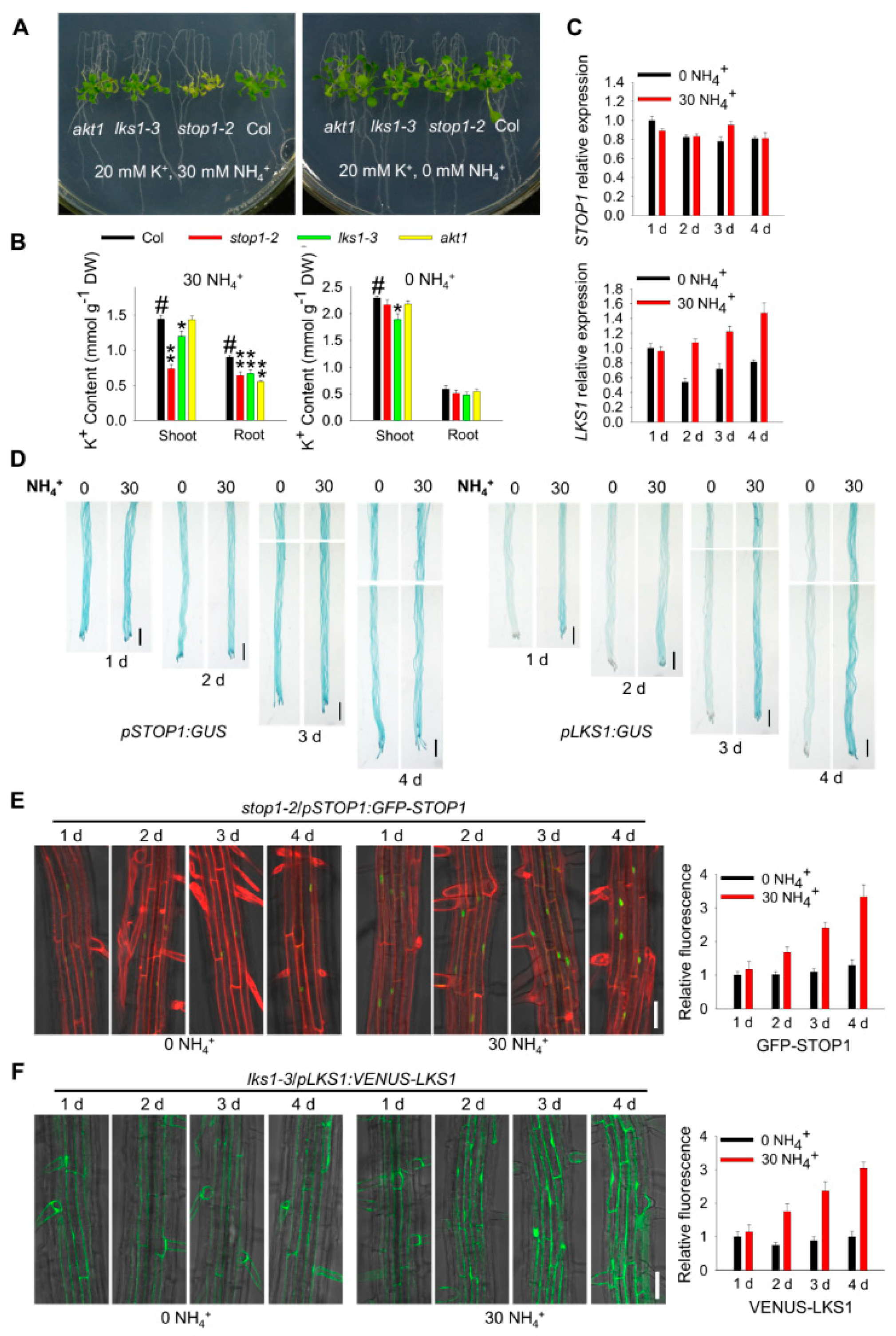 Ijms 23 00383 g009 550