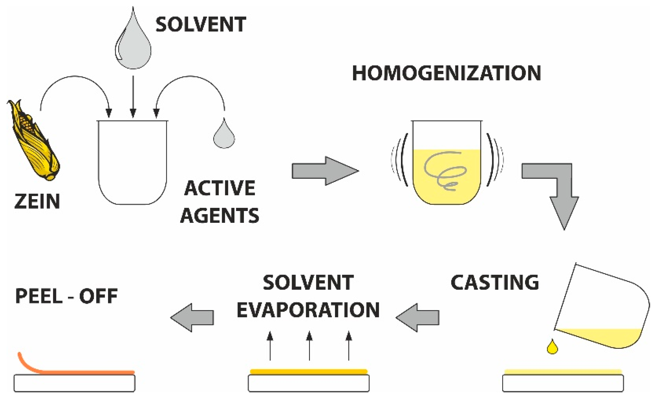 Ijms 23 00384 g008 Ijms 23 00384 g008