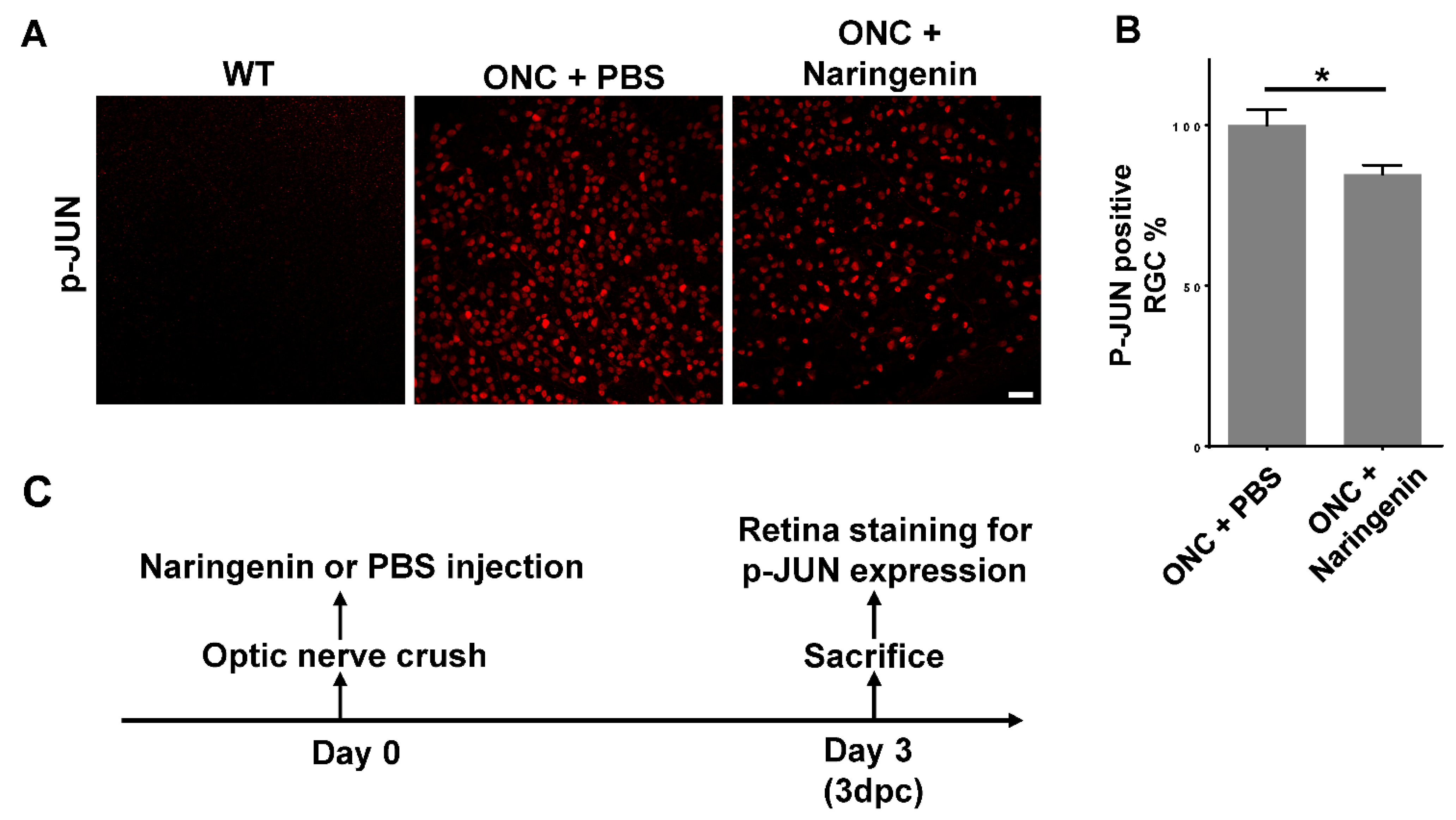 Ijms 23 00385 g004 Ijms 23 00385 g004