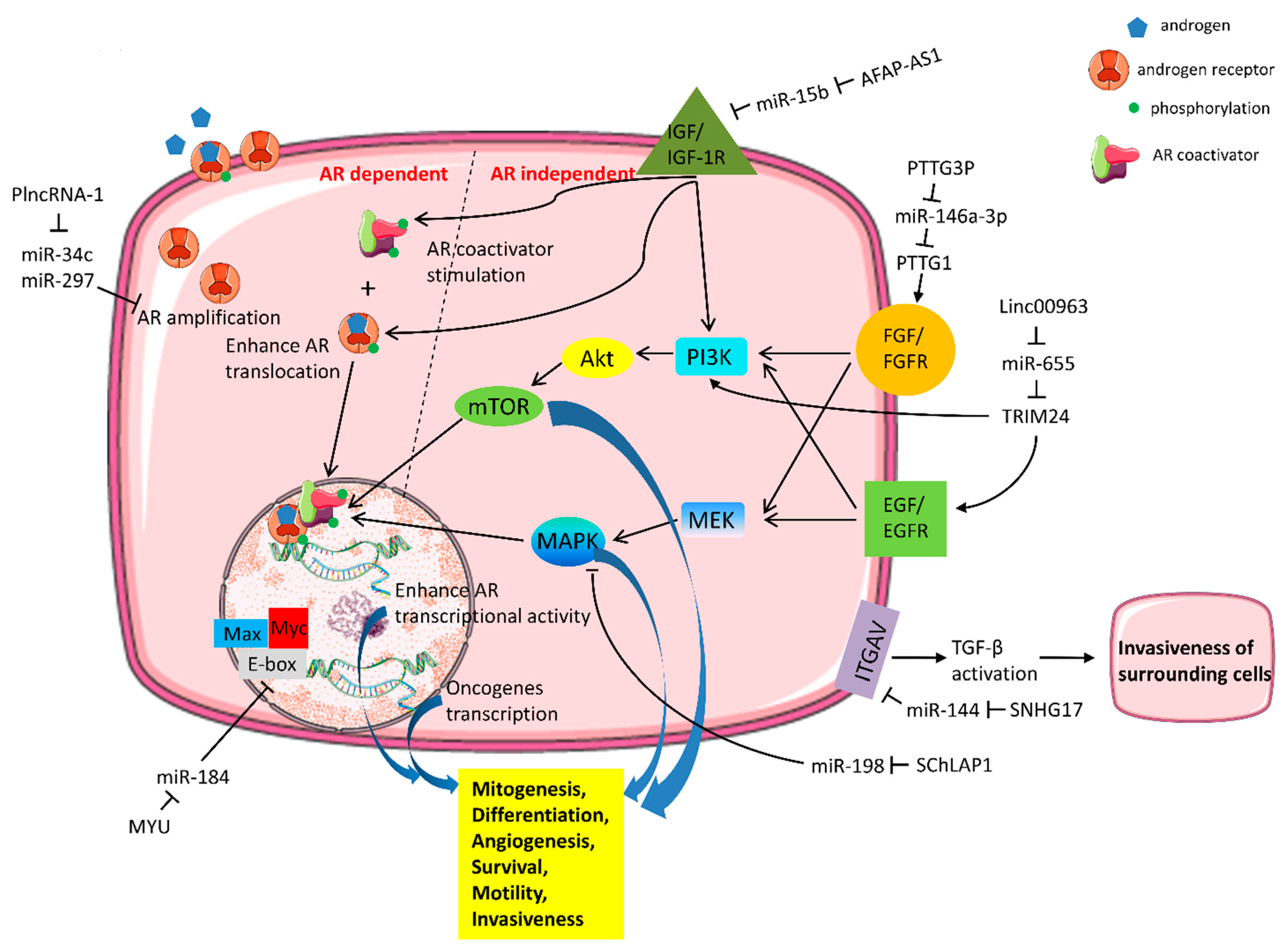 Ijms 23 00392 g001 Ijms 23 00392 g001