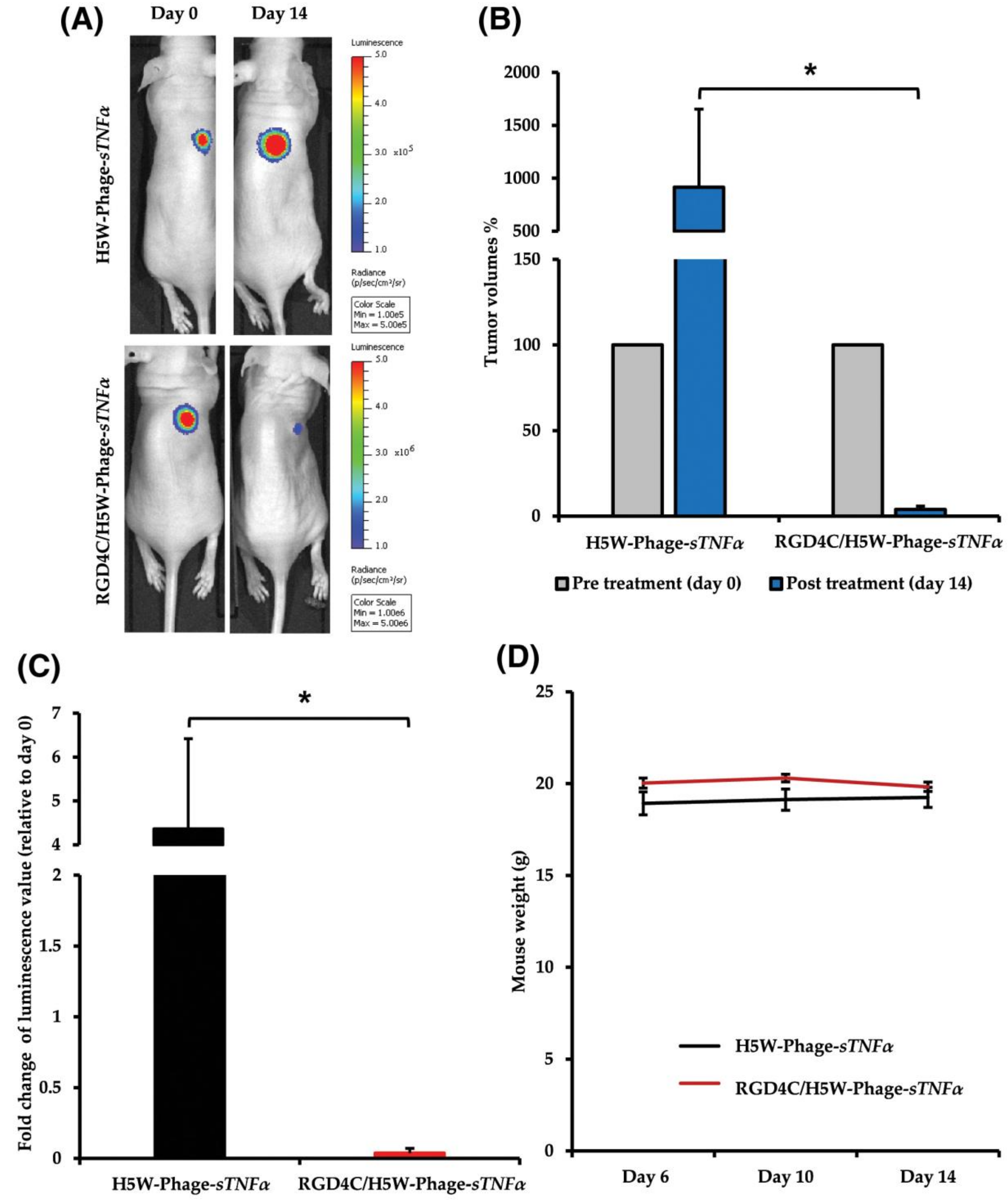 Ijms 23 00402 g003 Ijms 23 00402 g003