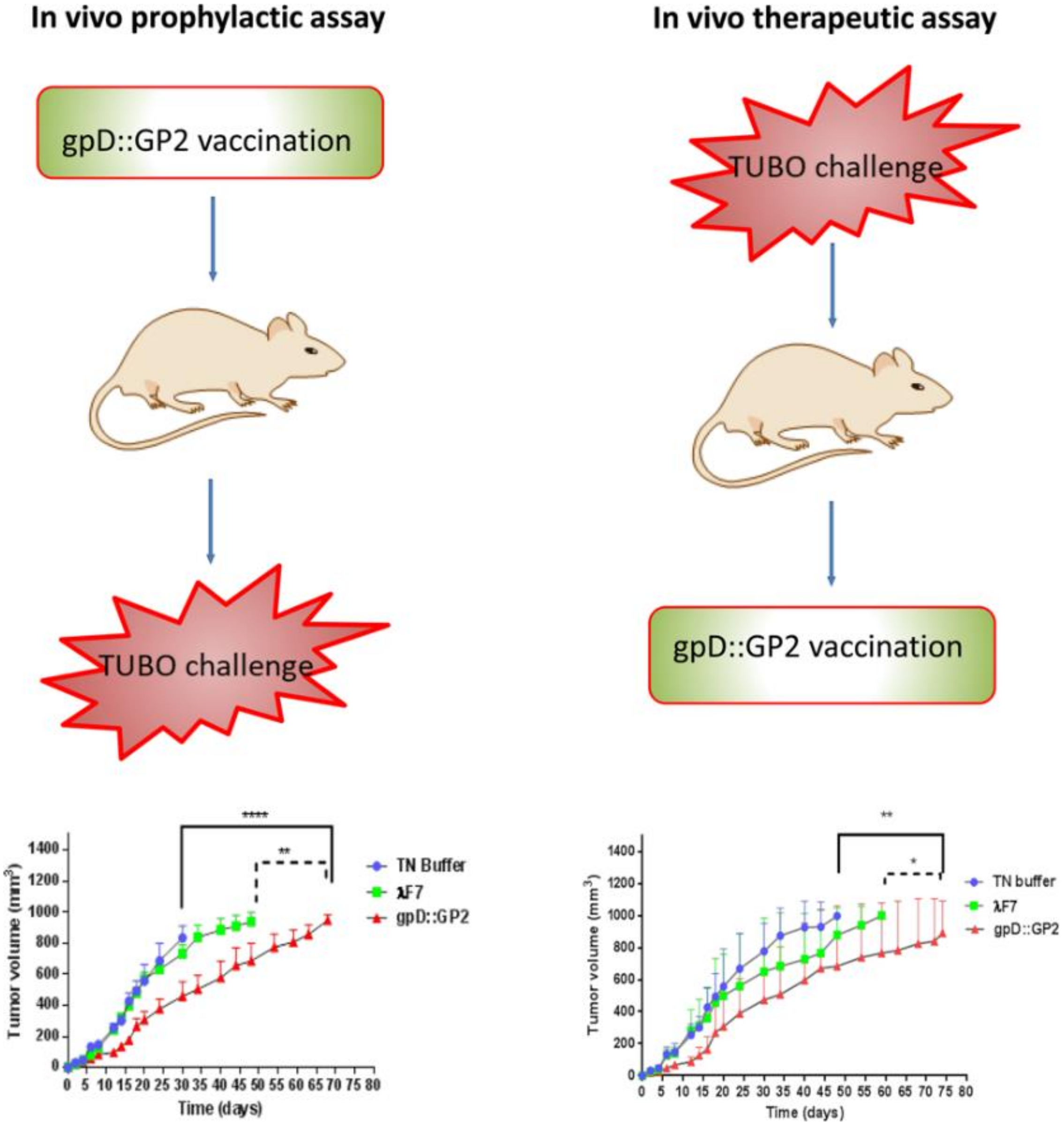 Ijms 23 00402 g004 Ijms 23 00402 g004