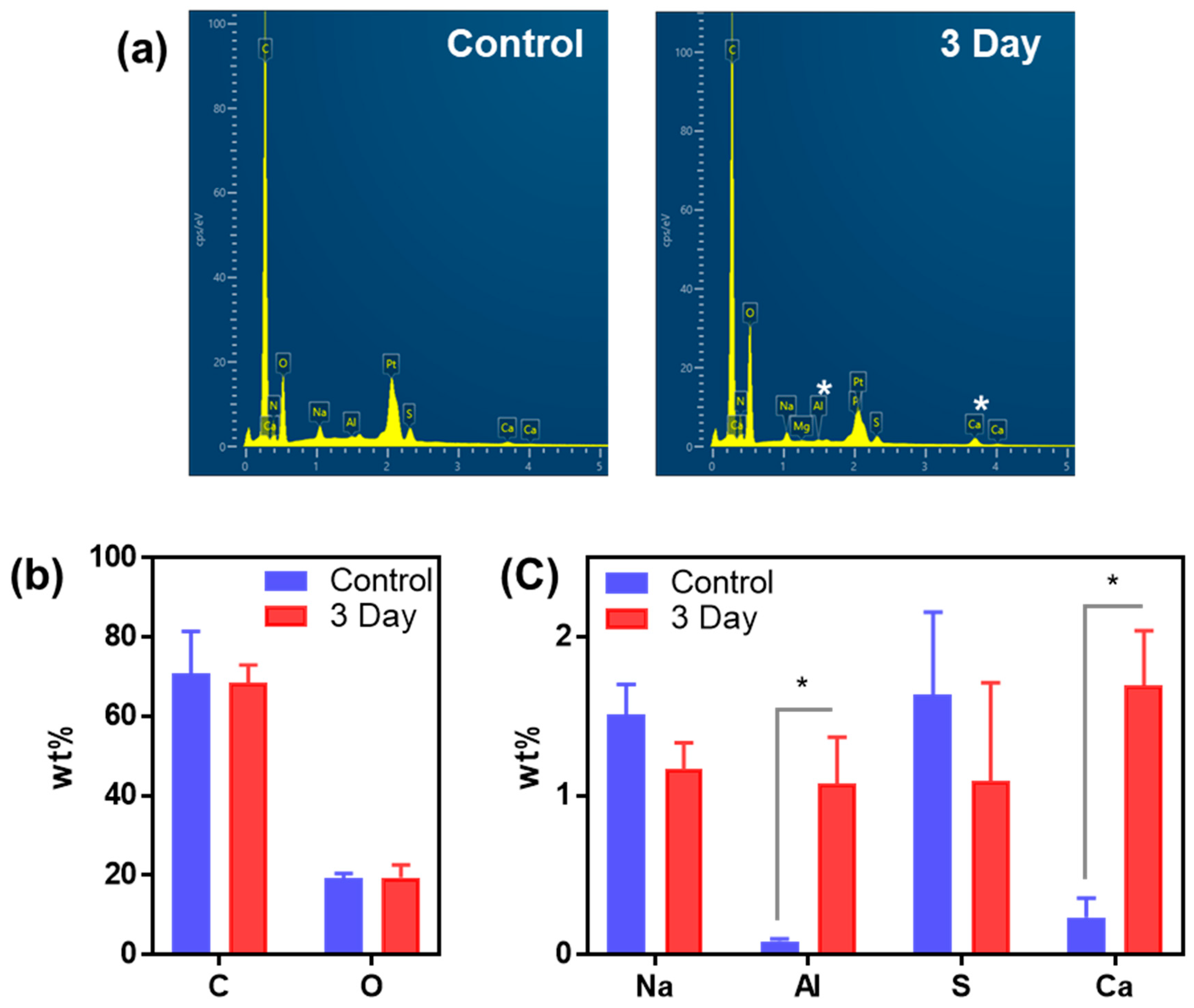 Ijms 23 00407 g004 550