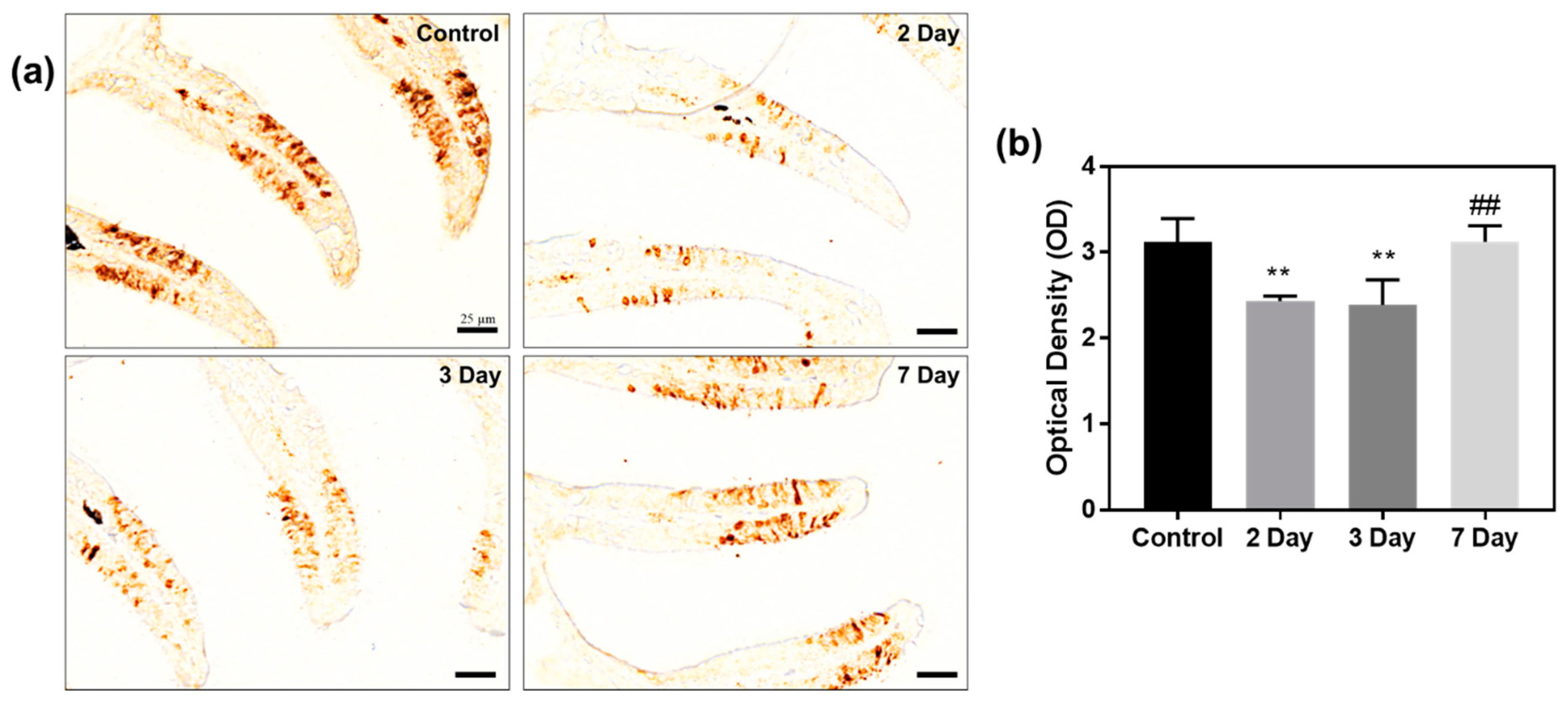 Ijms 23 00407 g007 550