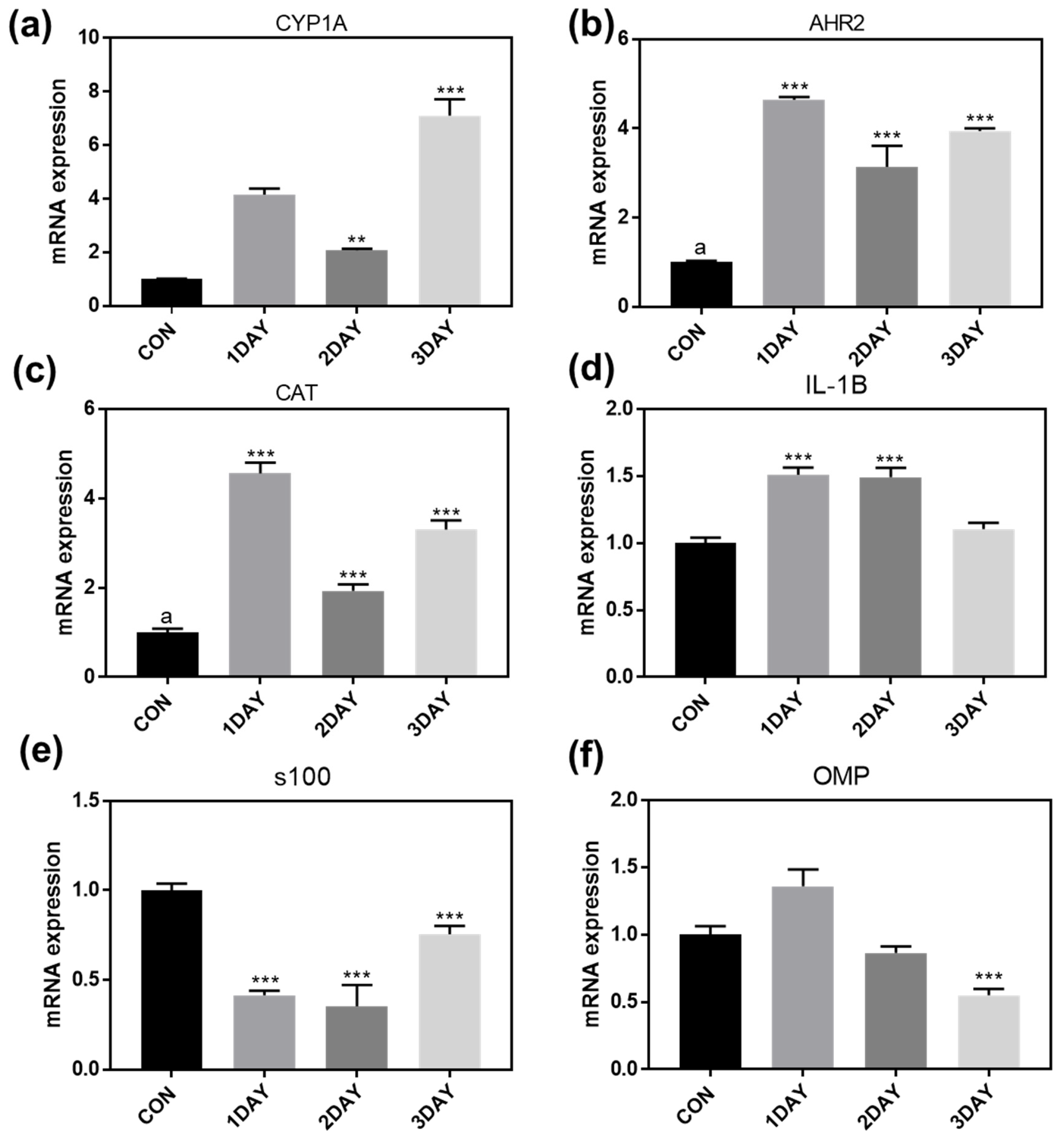 Ijms 23 00407 g008 550