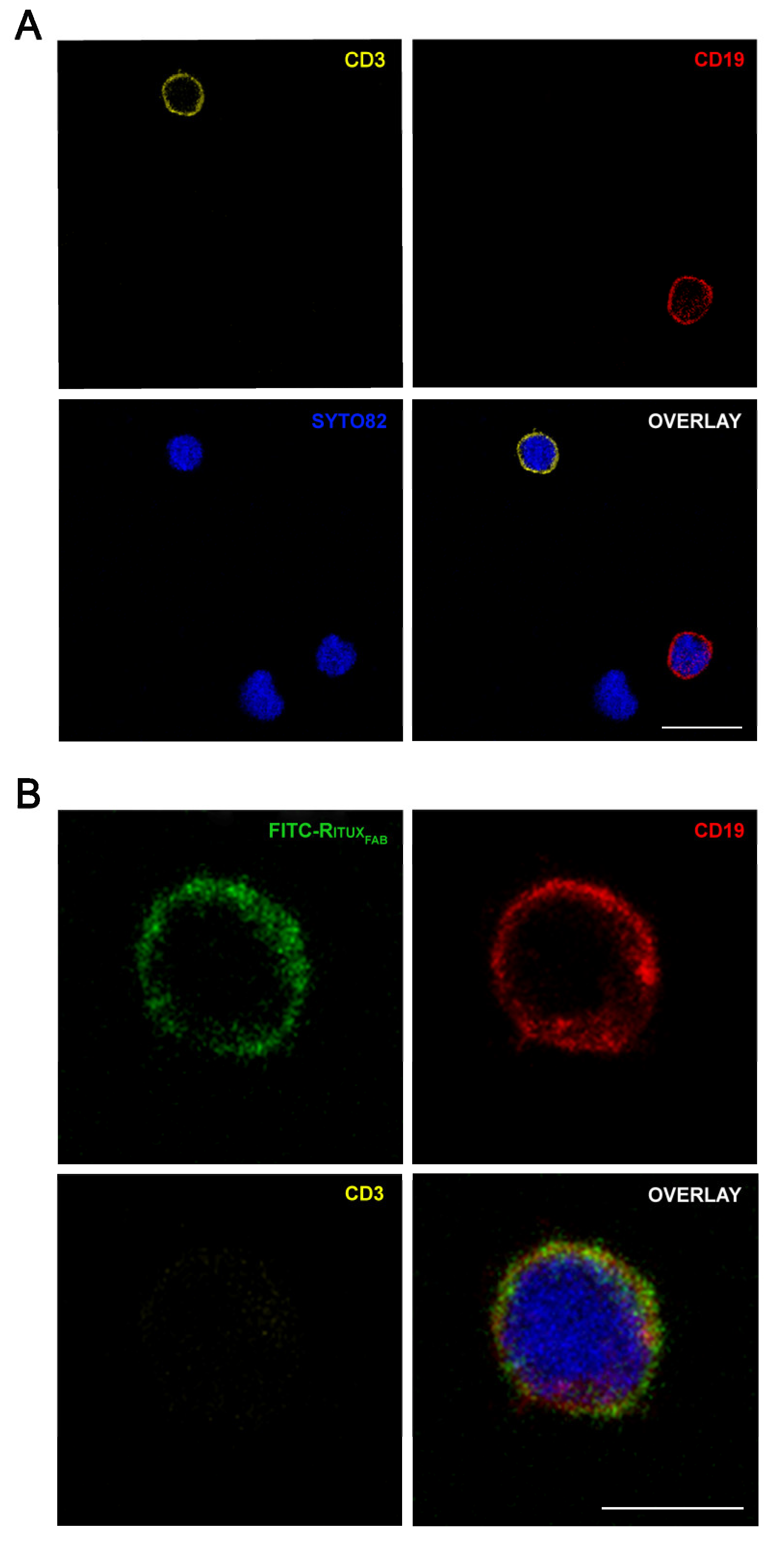 Ijms 23 00408 g007 550
