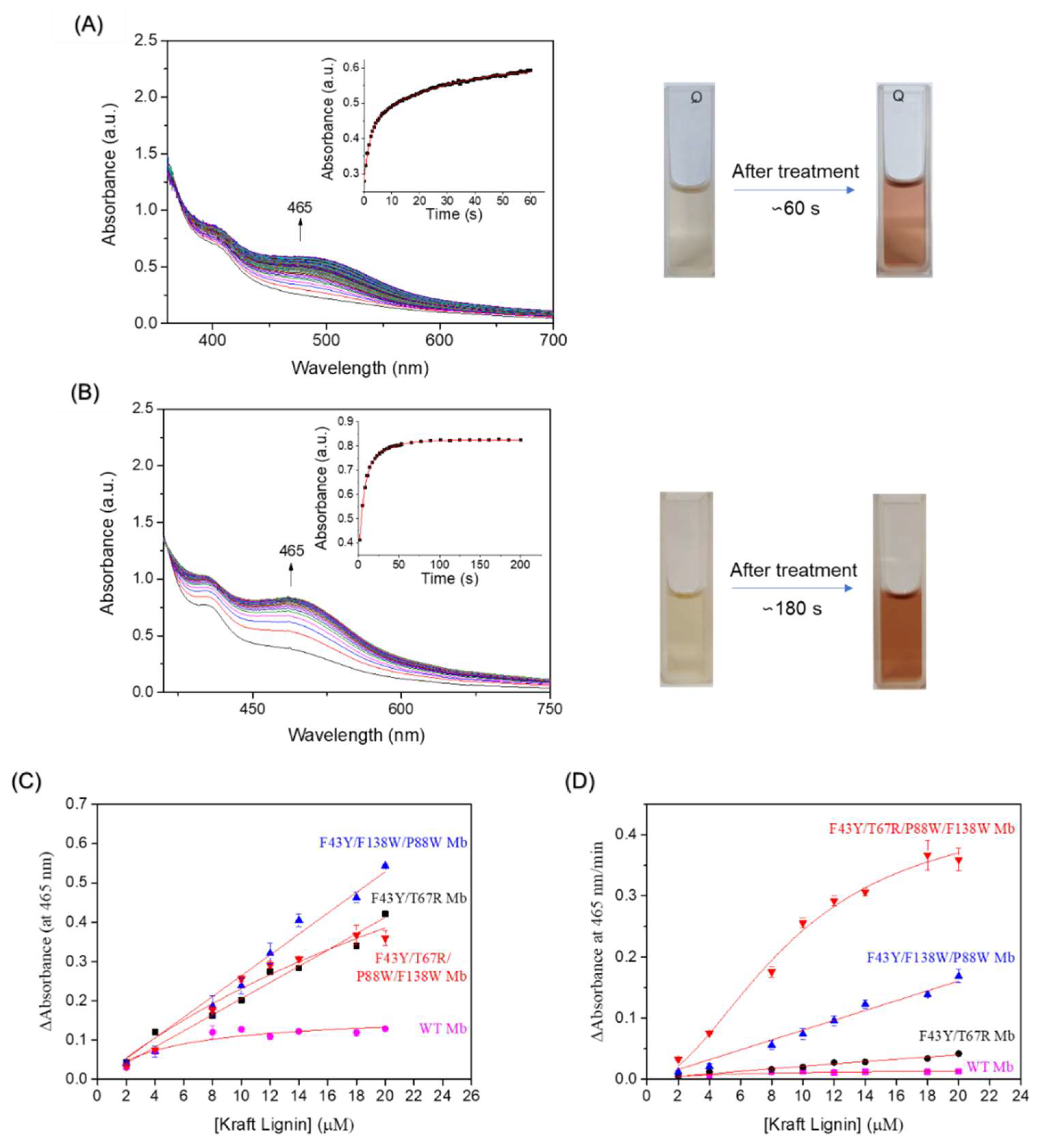 Ijms 23 00413 g004 550