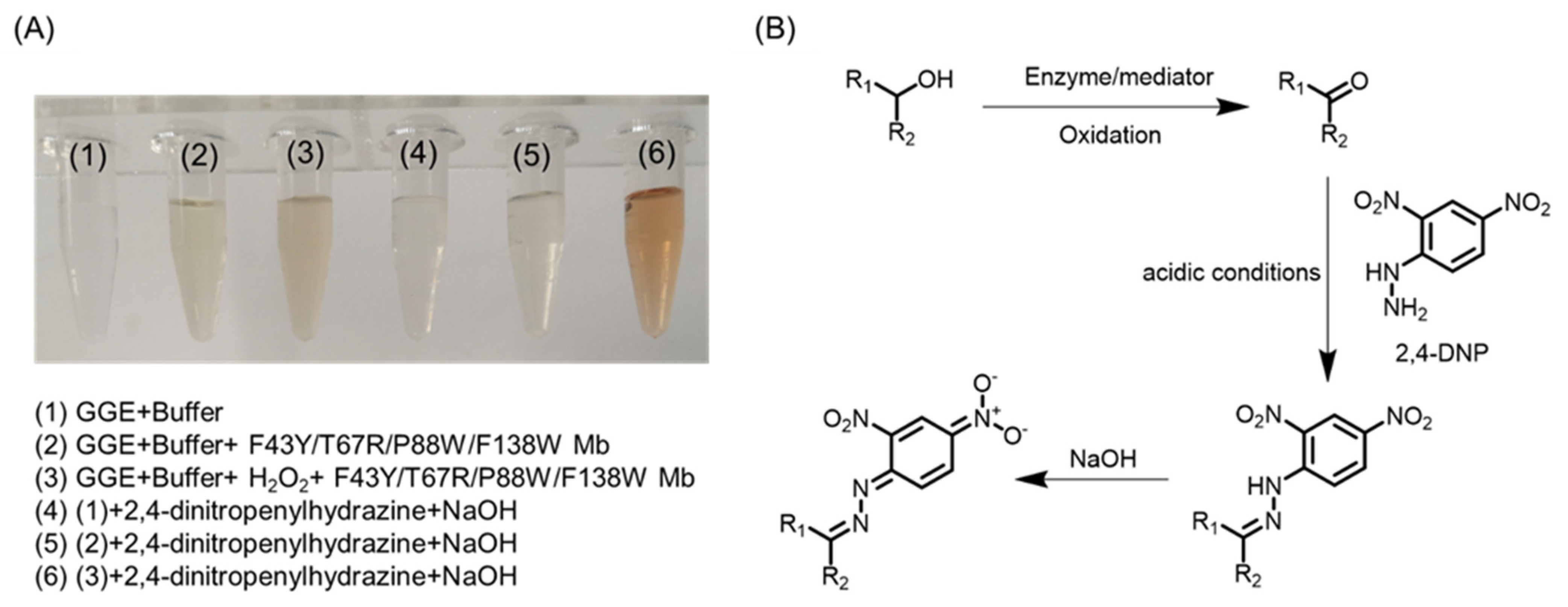 Ijms 23 00413 g006 550