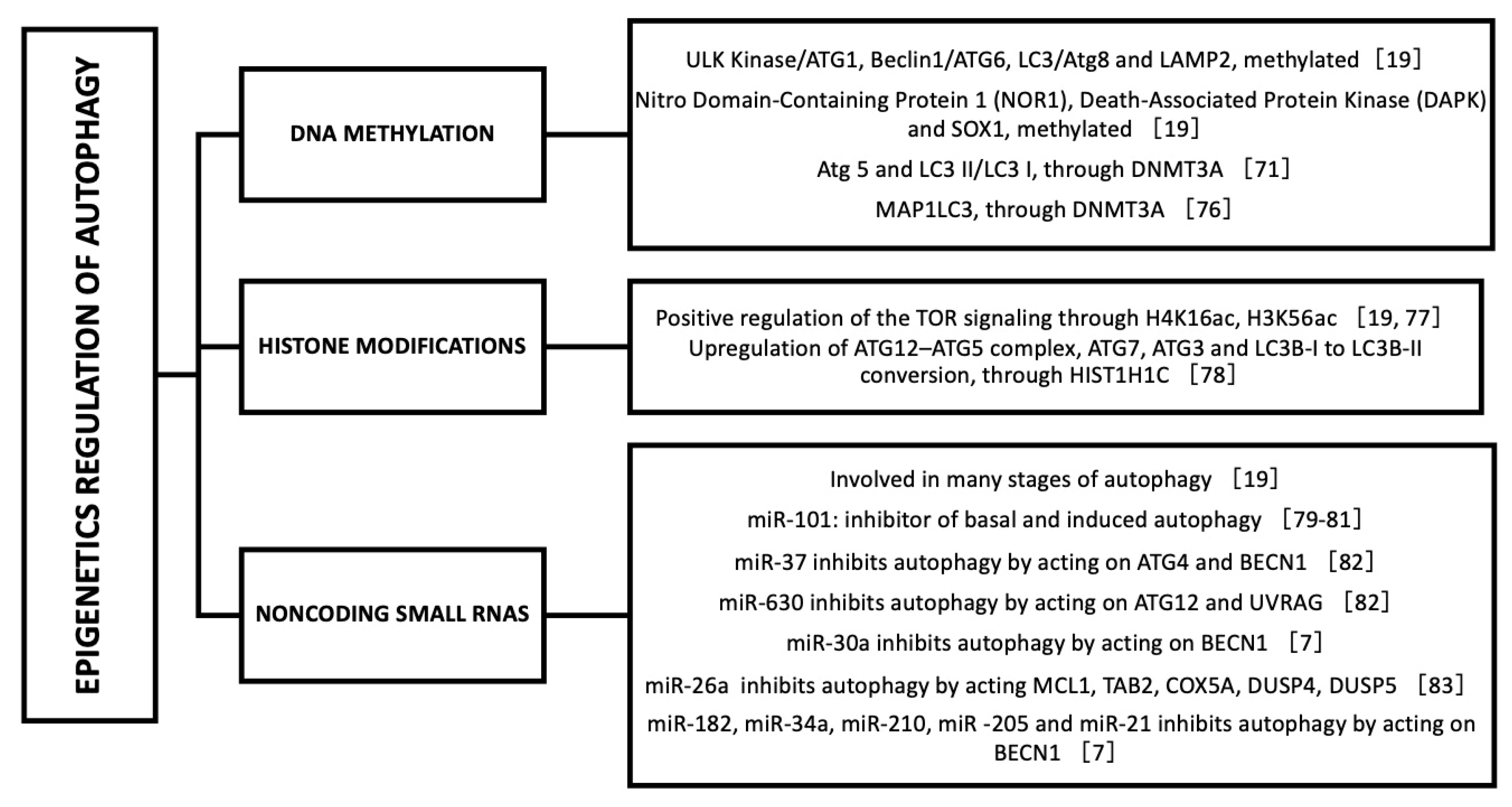 Ijms 23 00421 g003 550