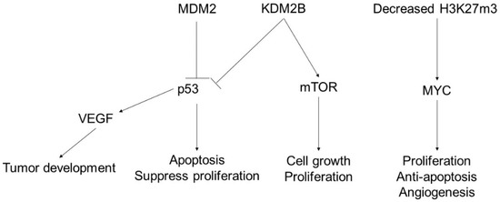 Epigenetics of Cutaneous Sarcoma