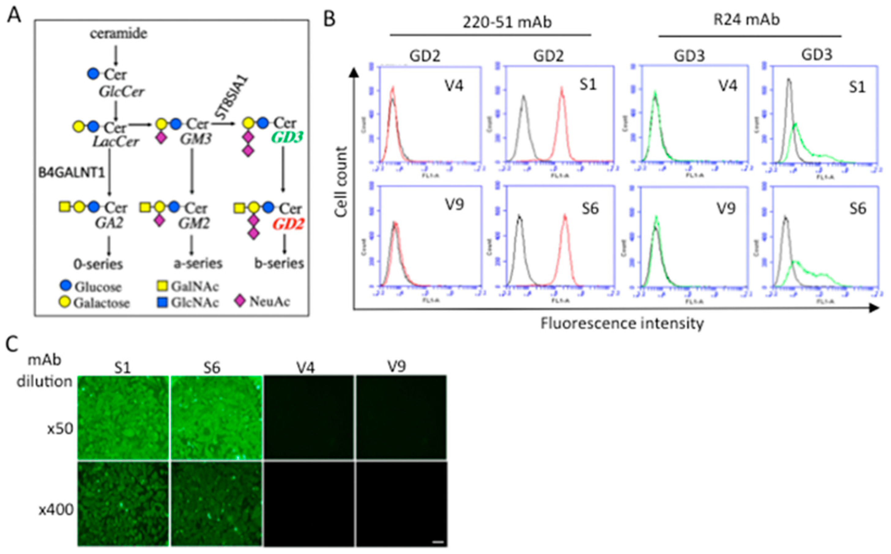 Ijms 23 00423 g001 Ijms 23 00423 g001