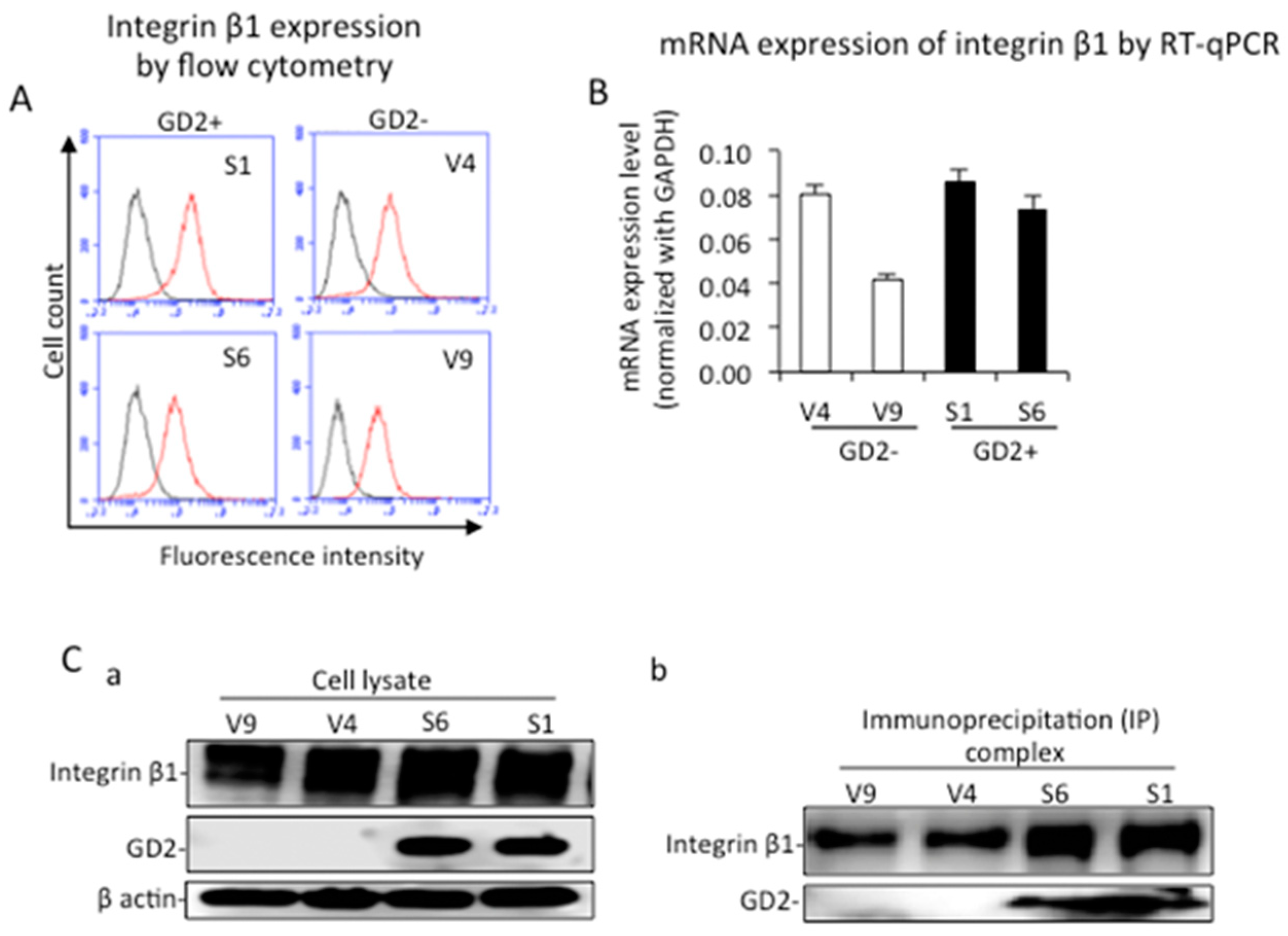 Ijms 23 00423 g005 Ijms 23 00423 g005