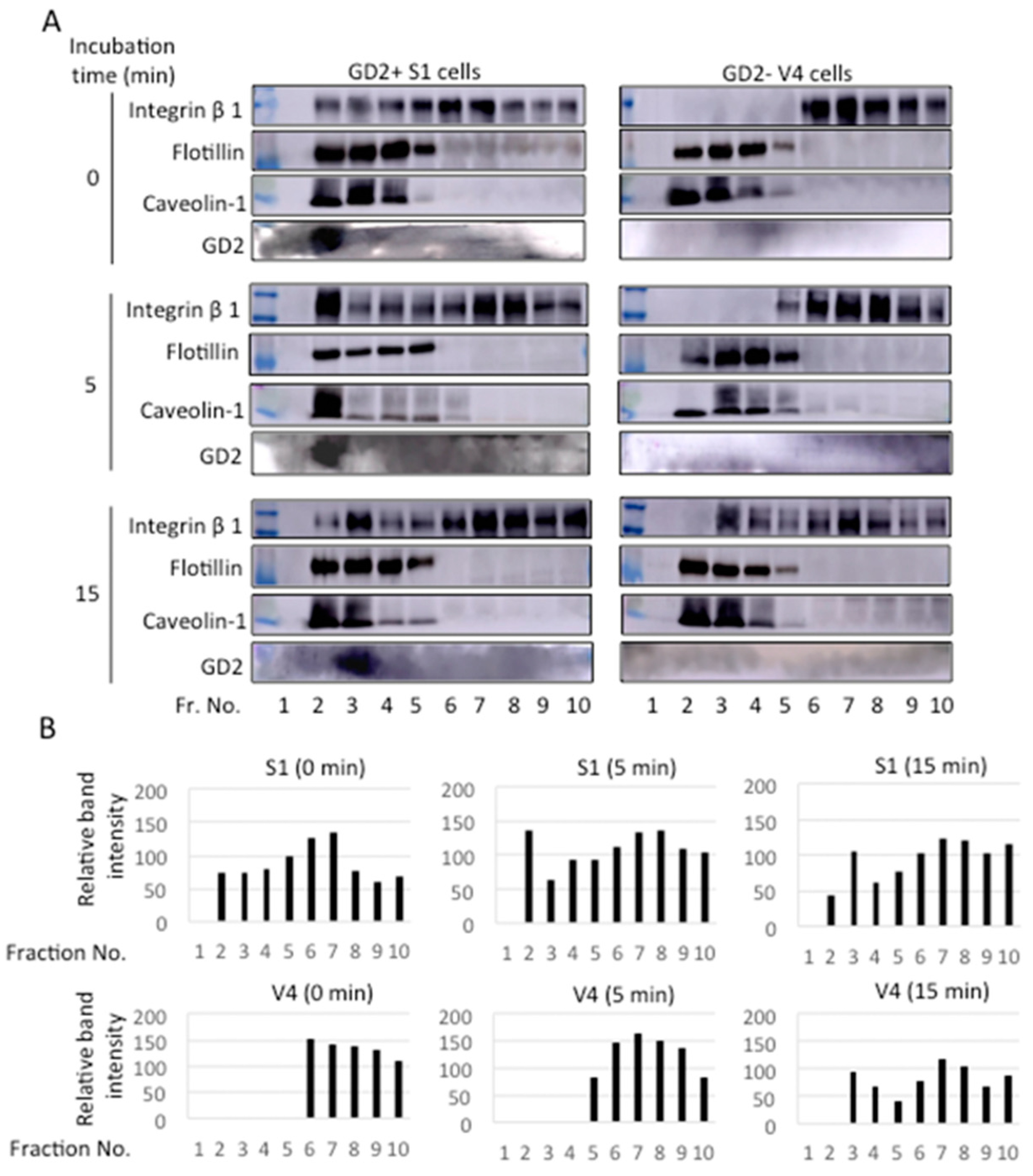 Ijms 23 00423 g010 Ijms 23 00423 g010