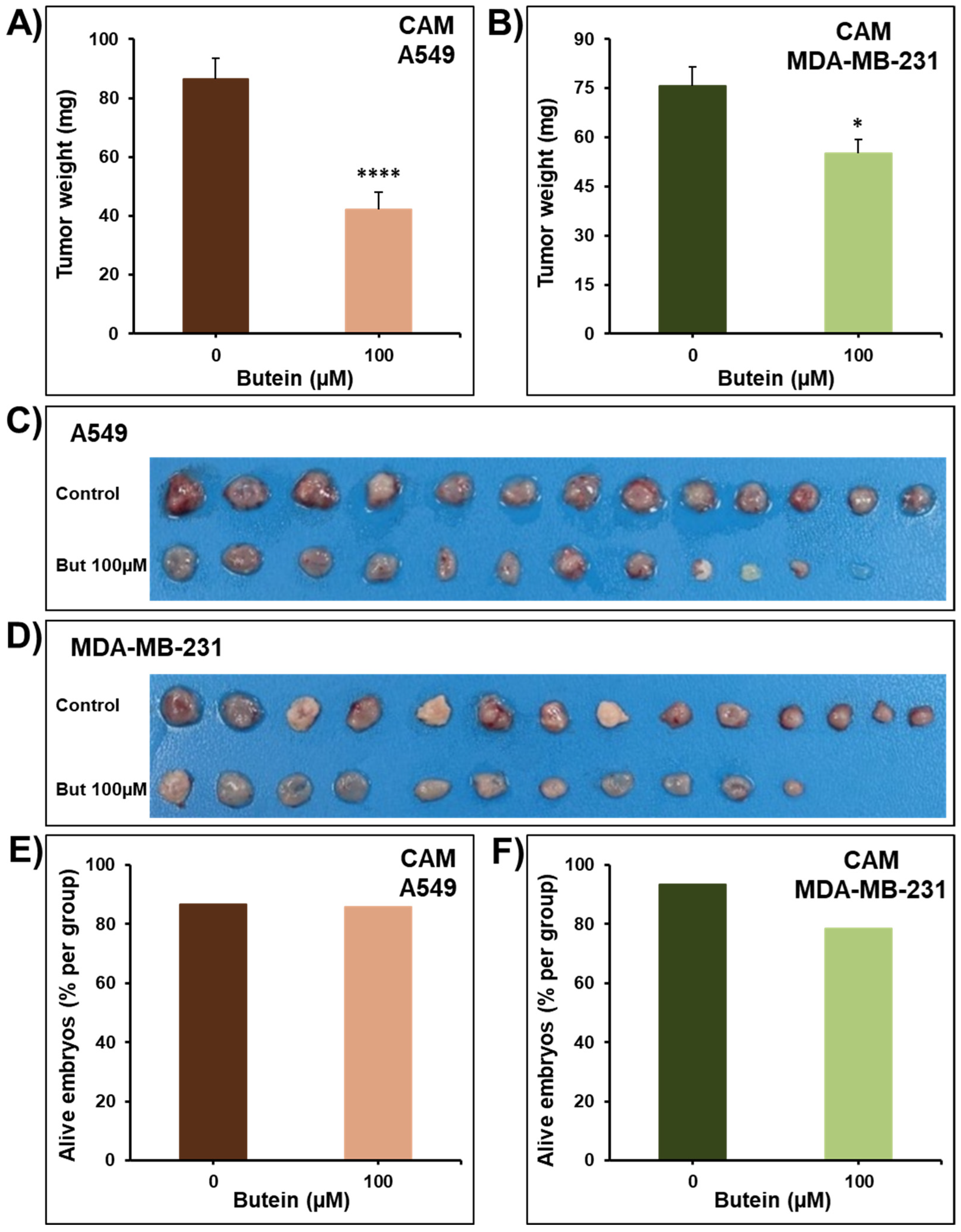 Ijms 23 00431 g003 550