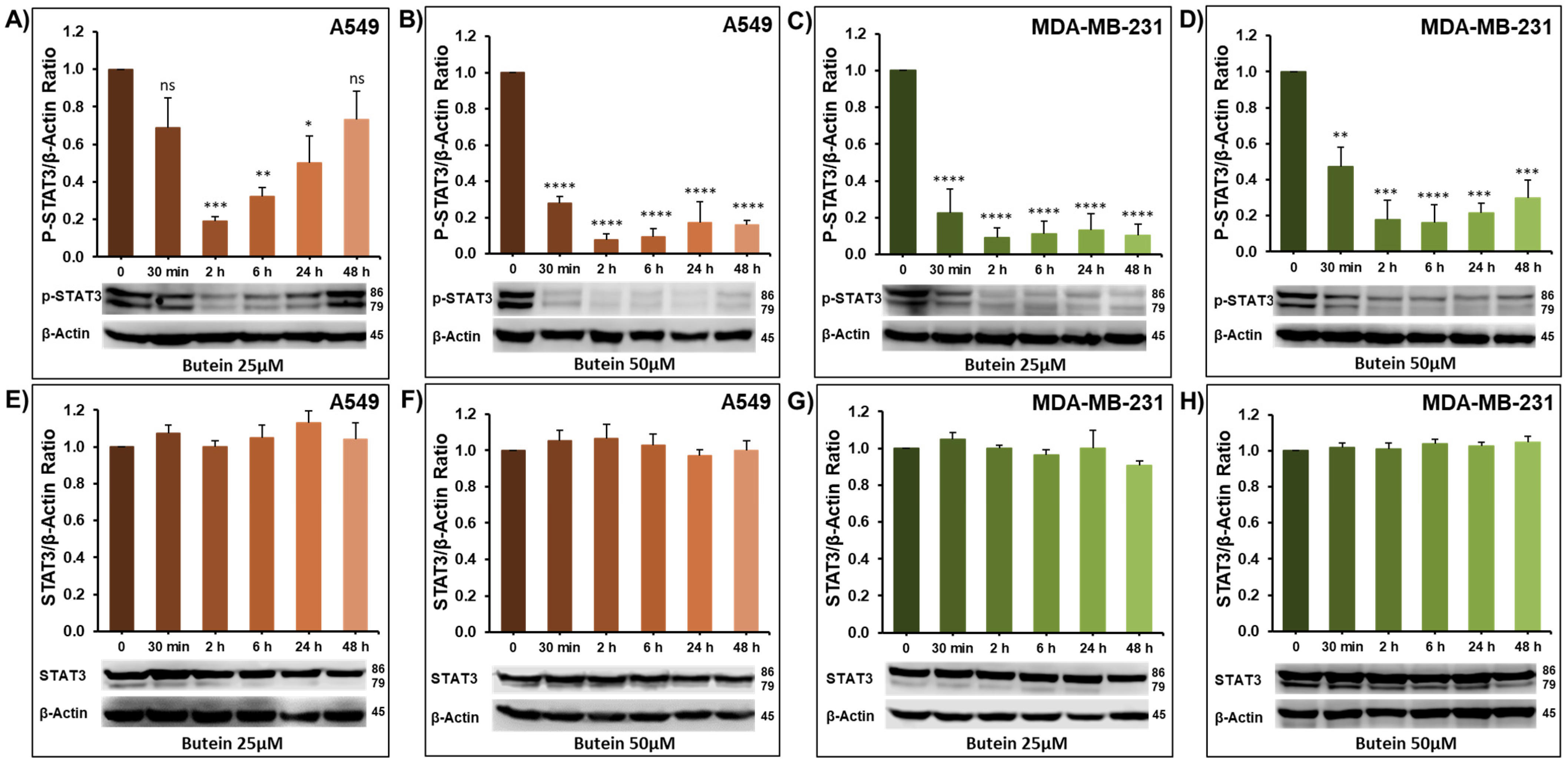 Ijms 23 00431 g005 550