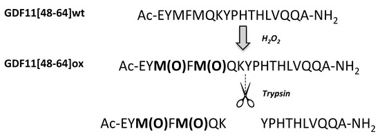 Oxidized Substrates of APEH as a Tool to Study the Endoprotease Activity of the Enzyme