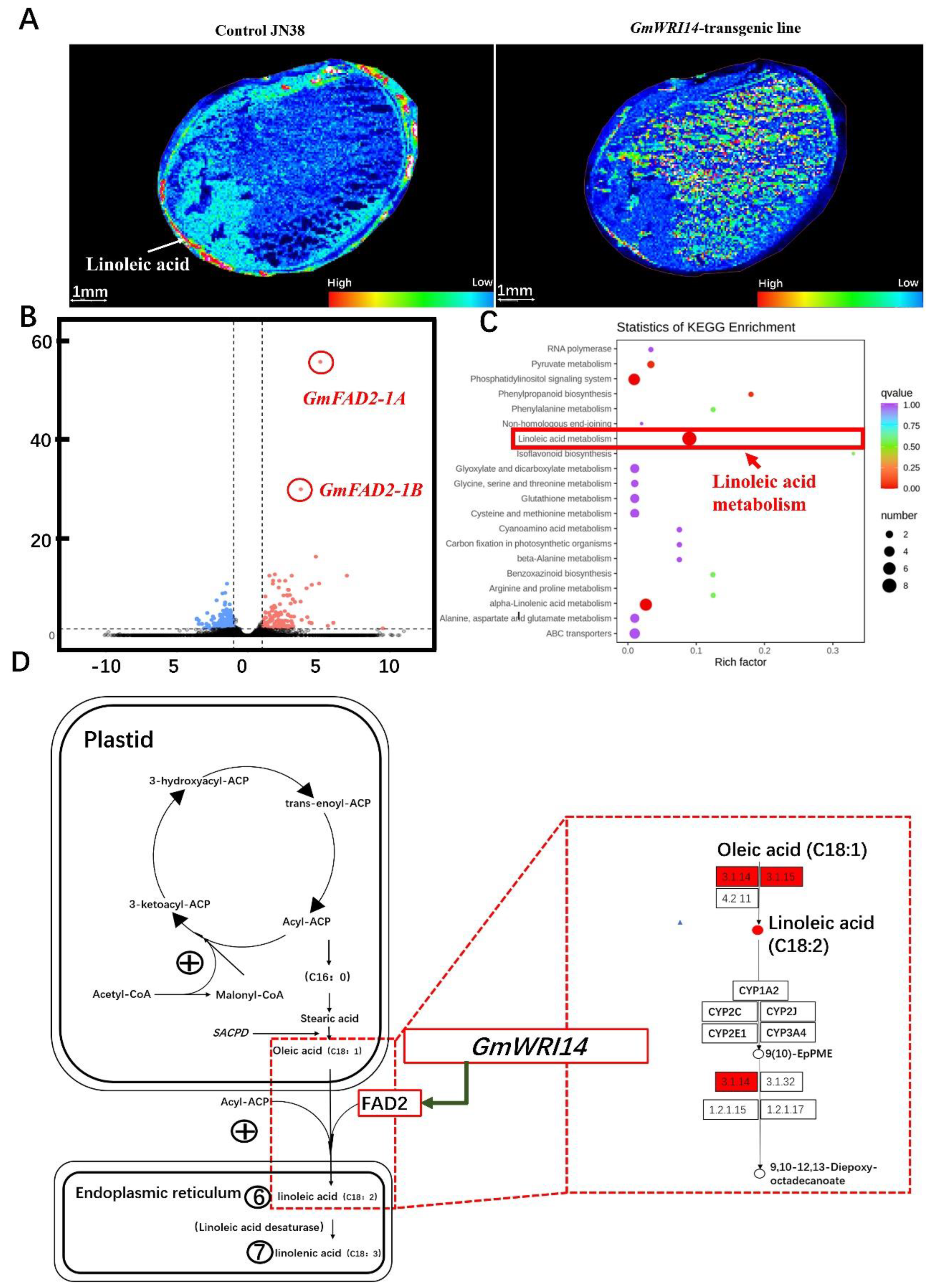 Ijms 23 00454 g003 550