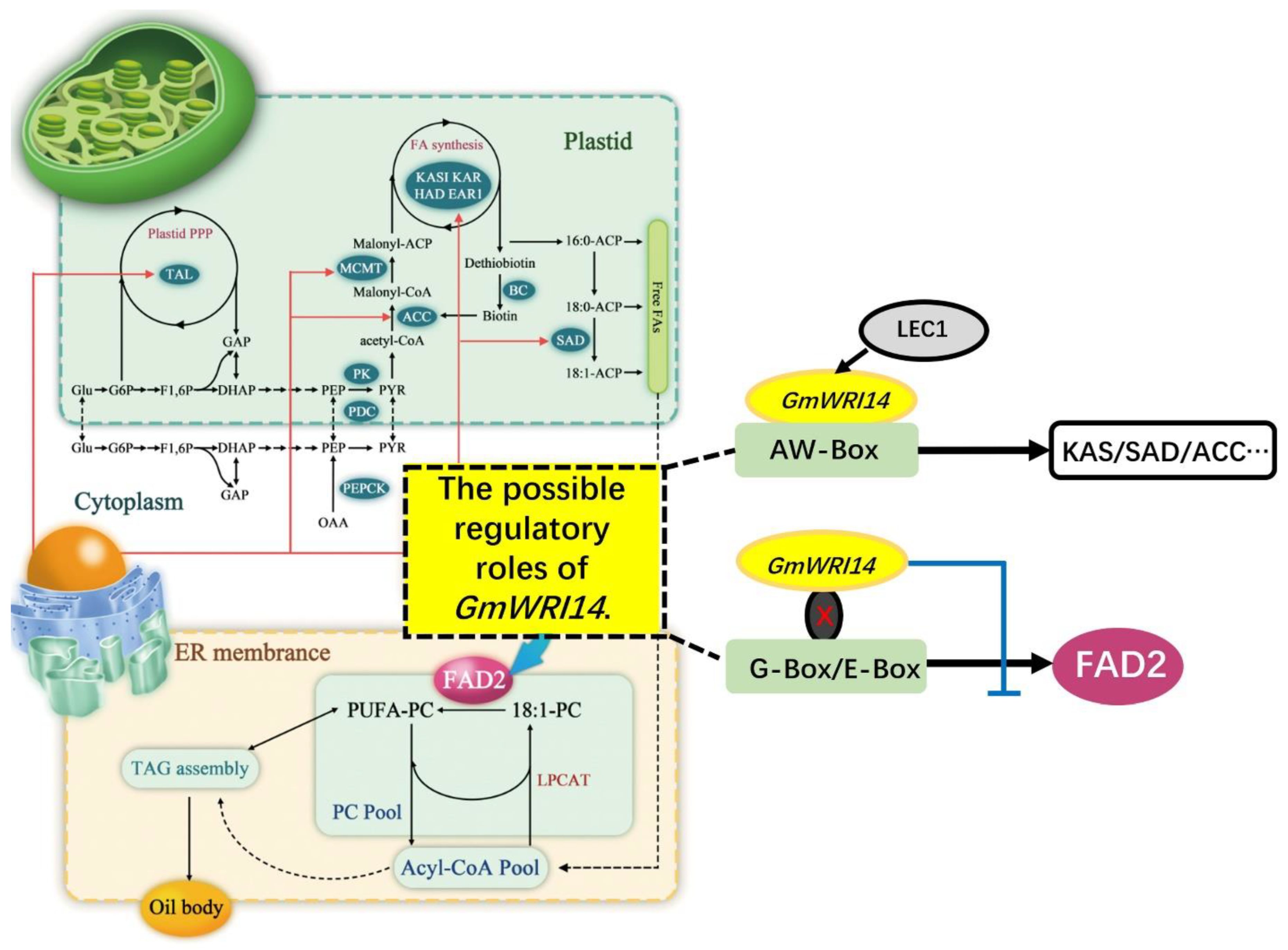 Ijms 23 00454 g004 550