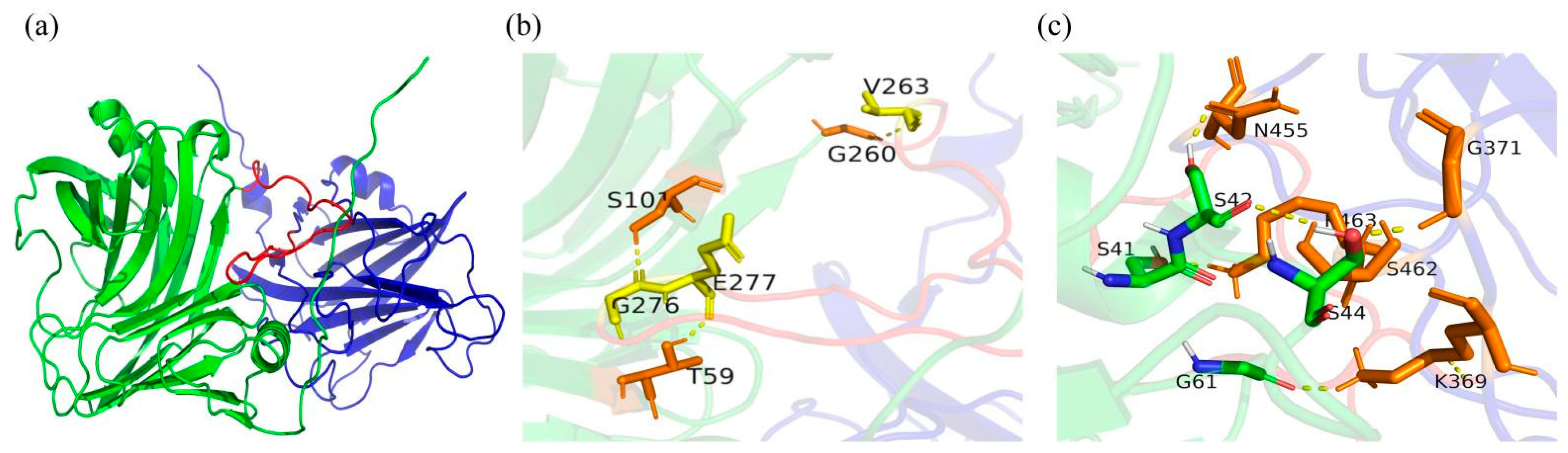 Ijms 23 00463 g003 Ijms 23 00463 g003