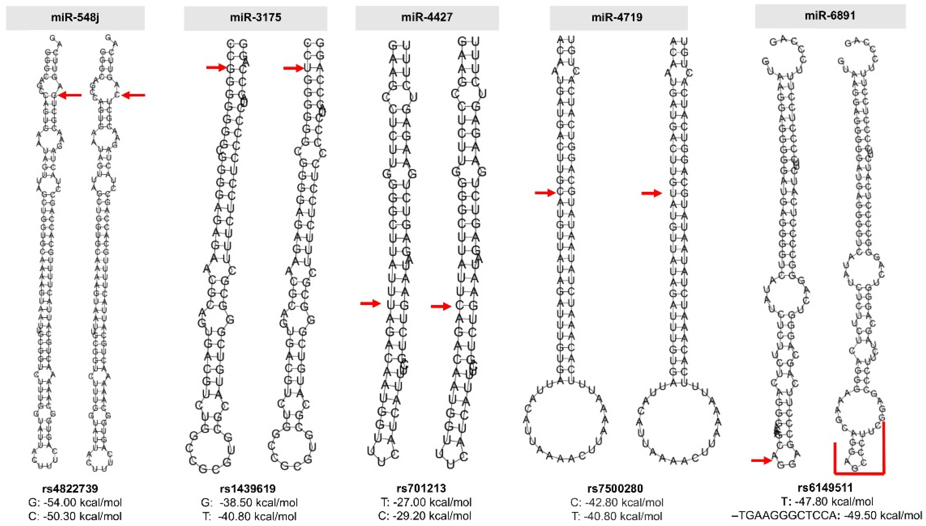 Ijms 23 00467 g002 550