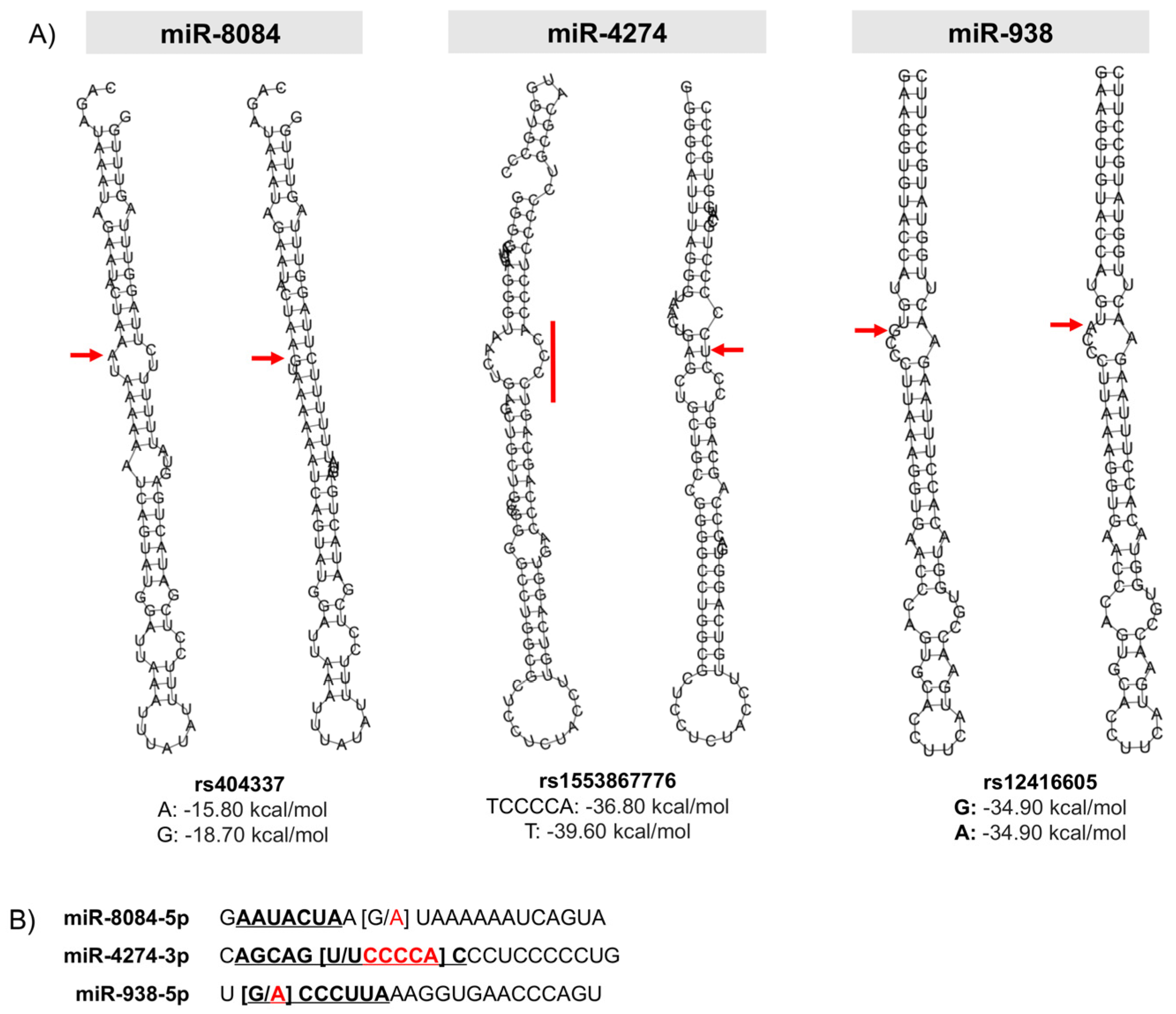 Ijms 23 00467 g003 550