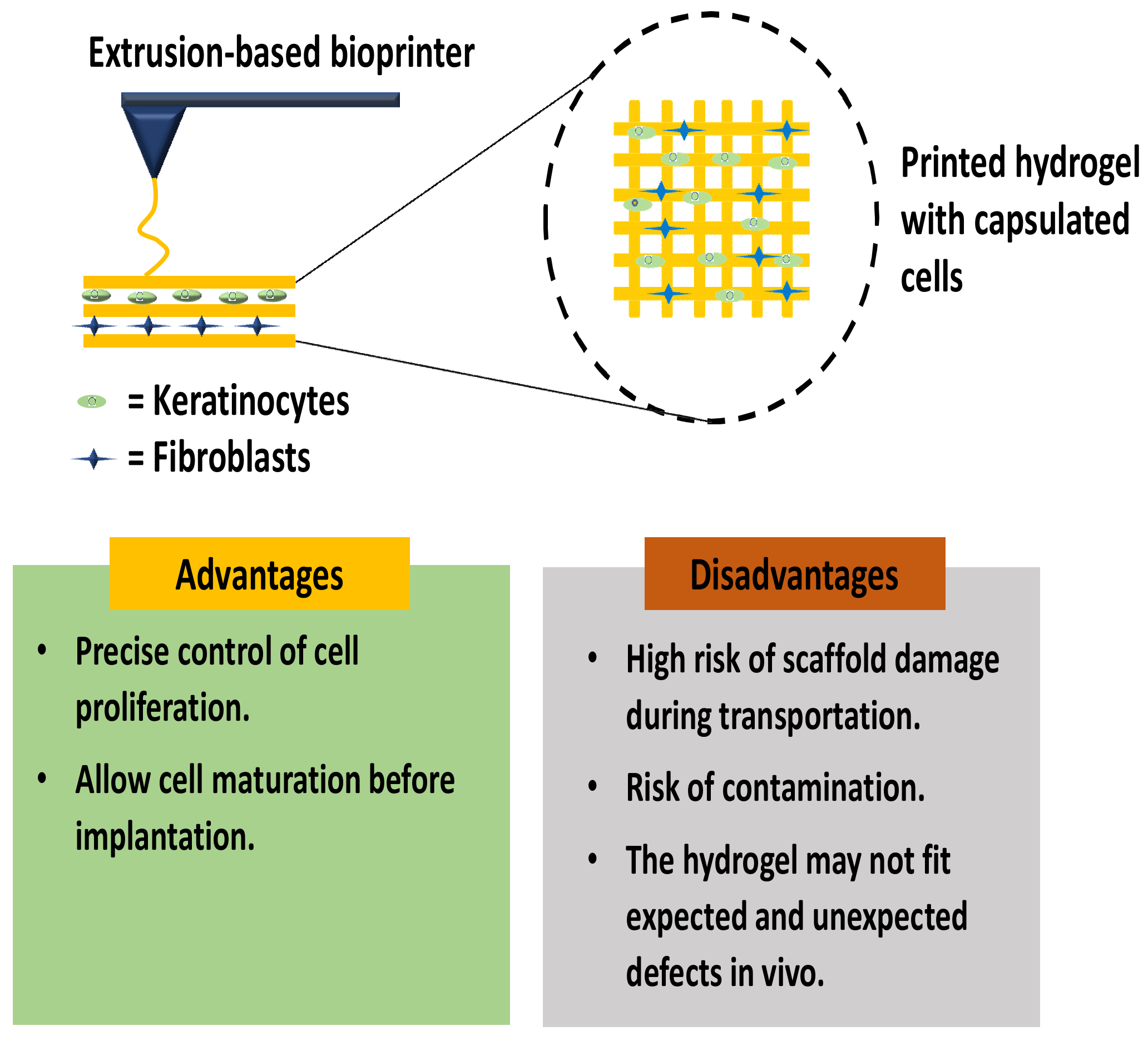 Ijms 23 00476 g005 550