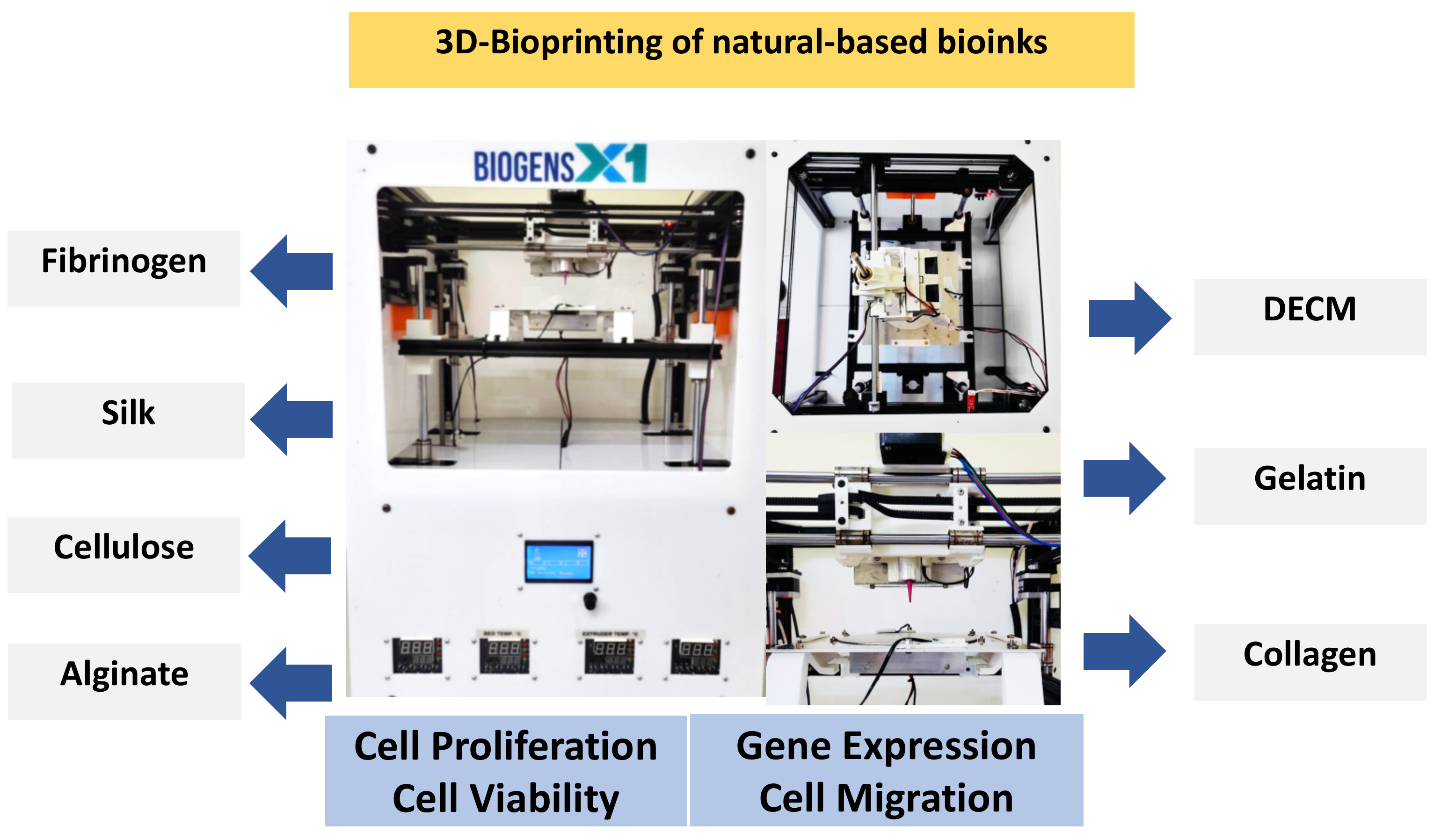 Ijms 23 00476 g007 550