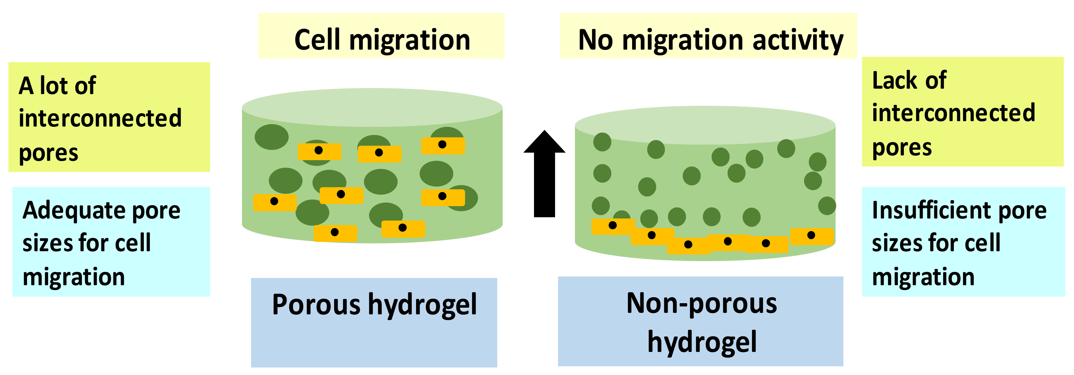 Ijms 23 00476 g008 550