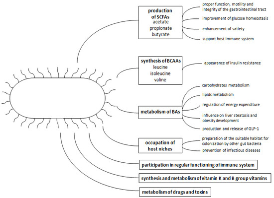 The Role of the Gut Microbiota in the Pathogenesis of Diabetes