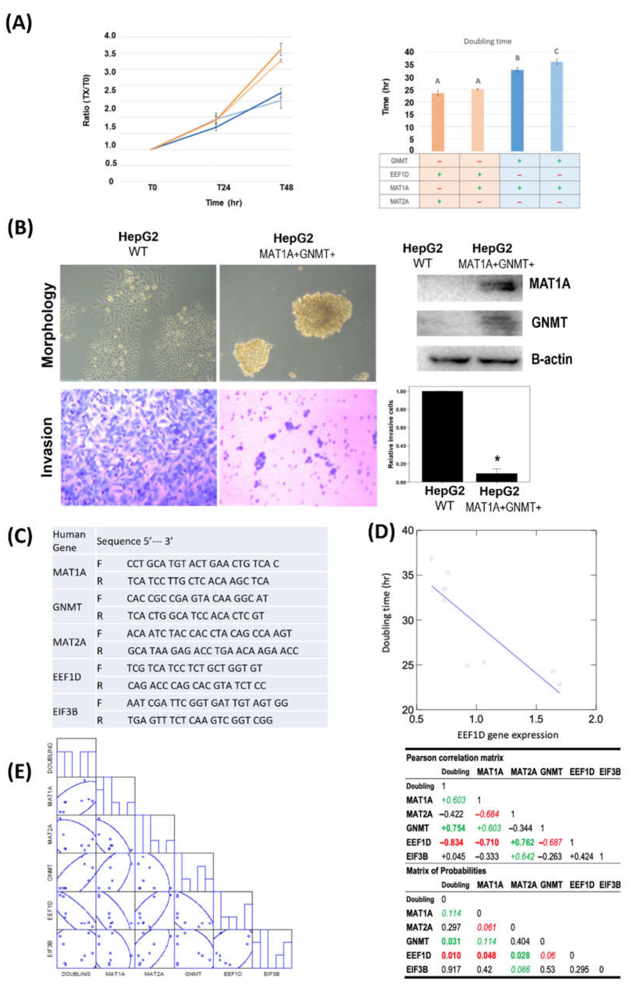 Ijms 23 00481 g004 Ijms 23 00481 g004