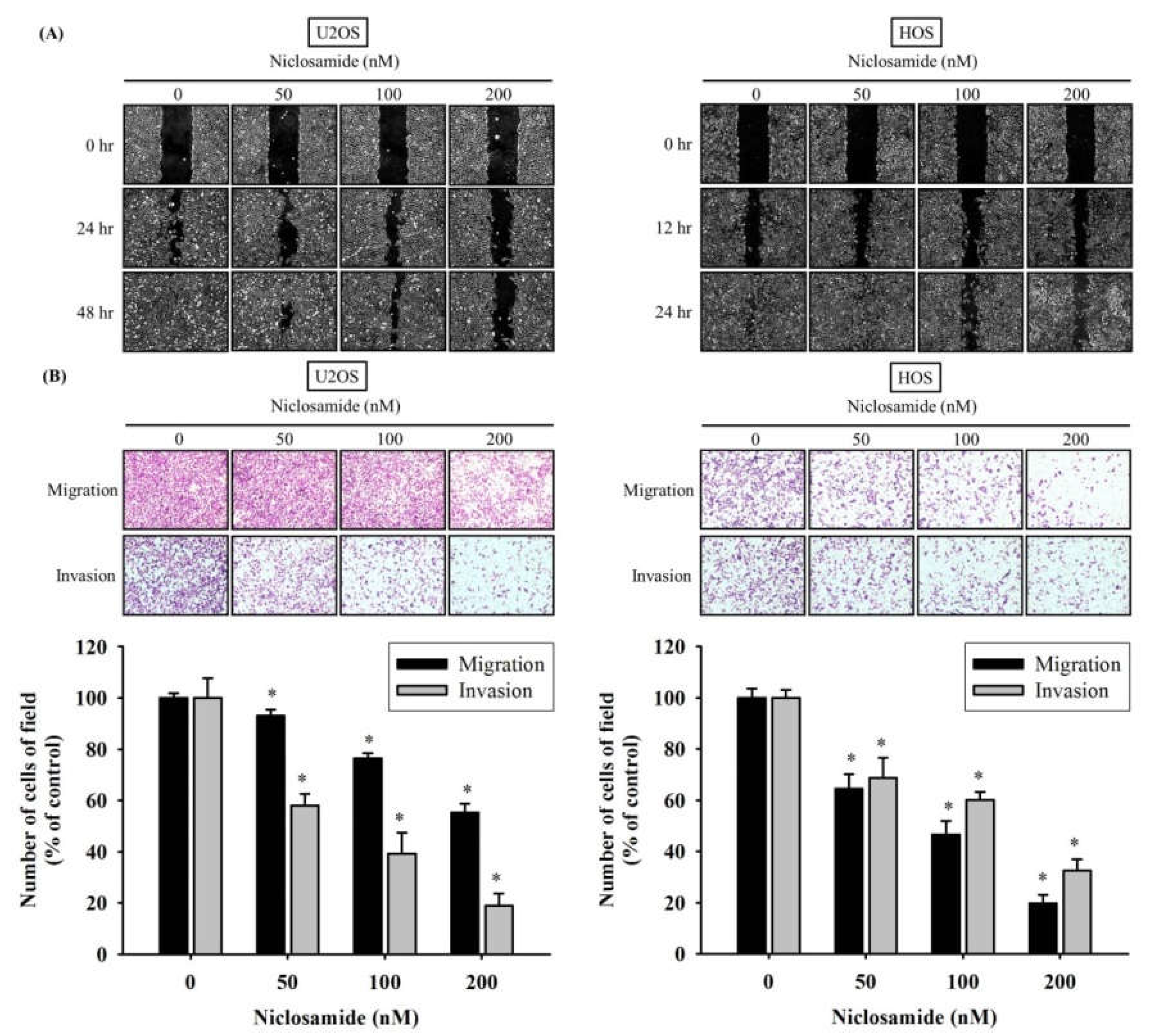 Ijms 23 00484 g002 550