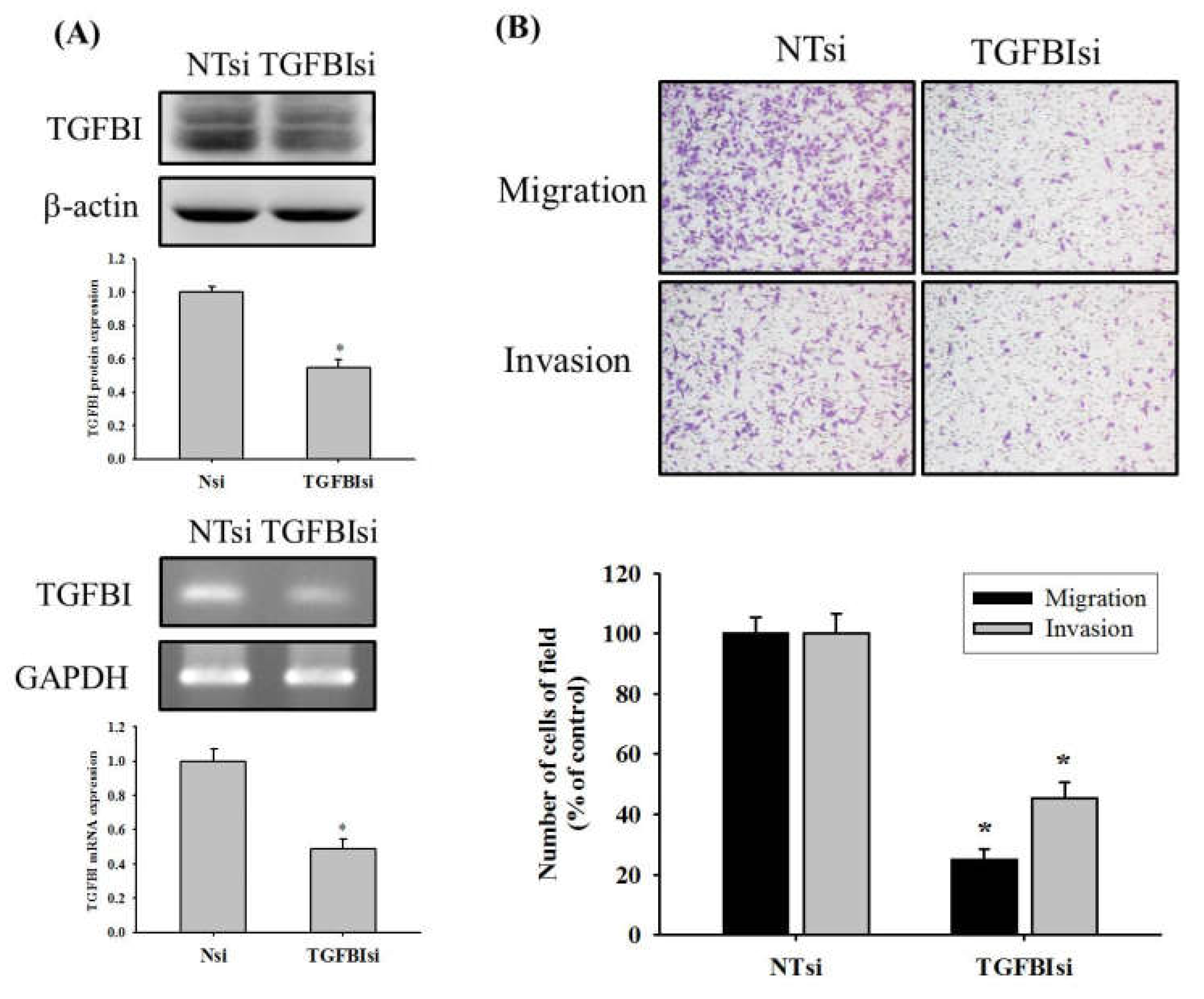 Ijms 23 00484 g004 550