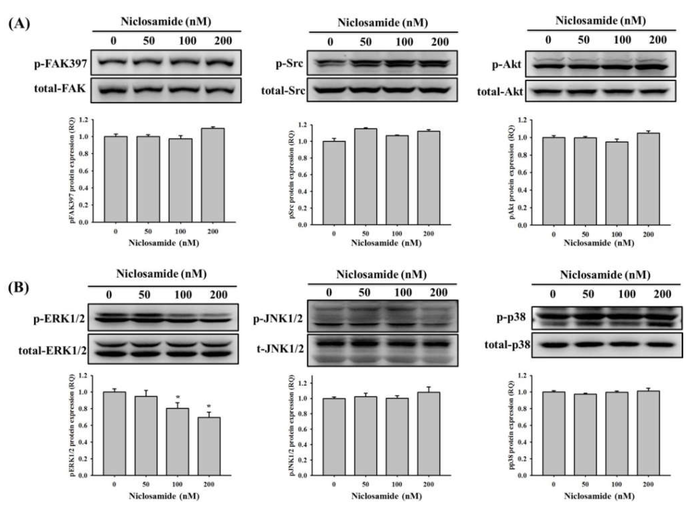 Ijms 23 00484 g005 550