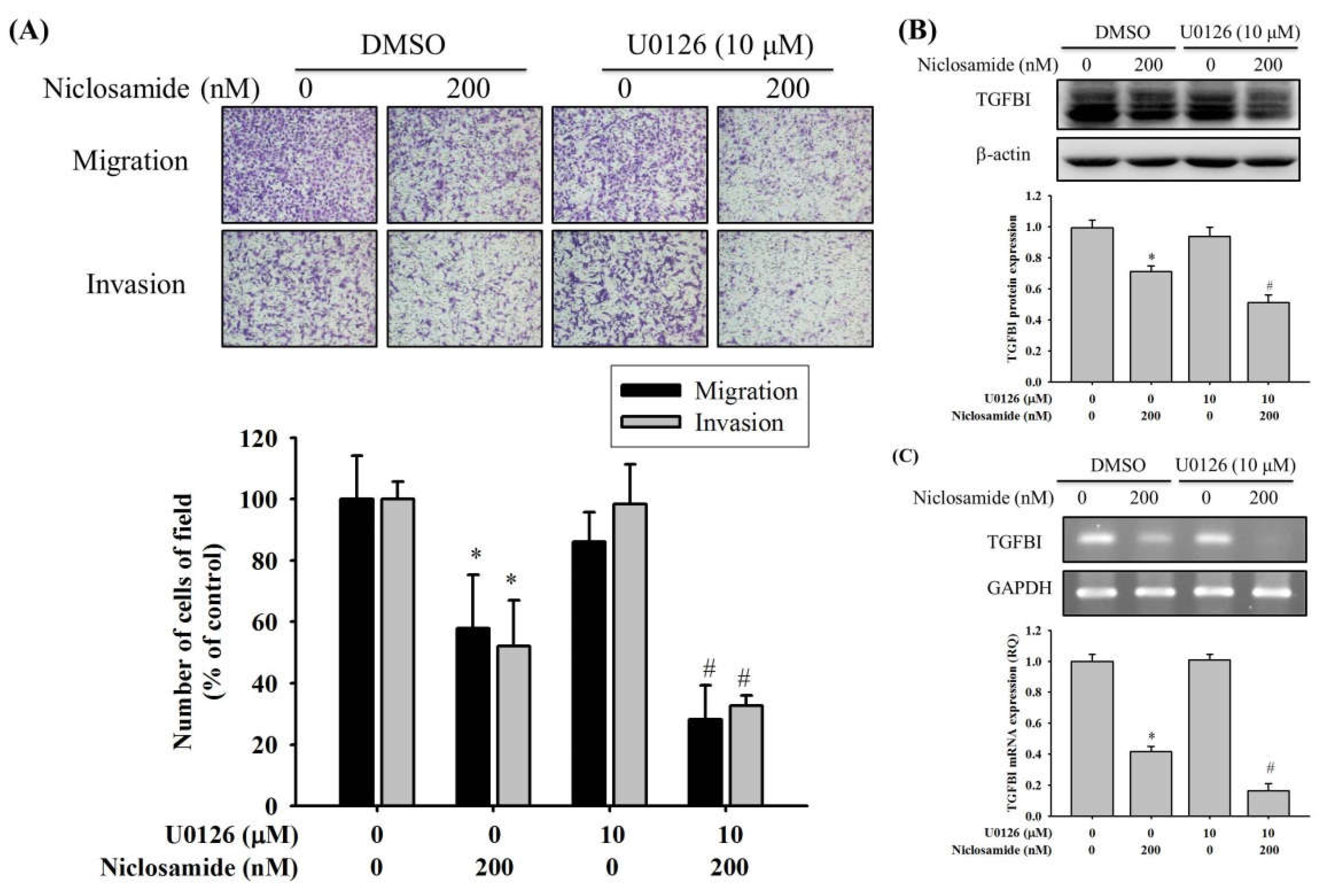 Ijms 23 00484 g006 550