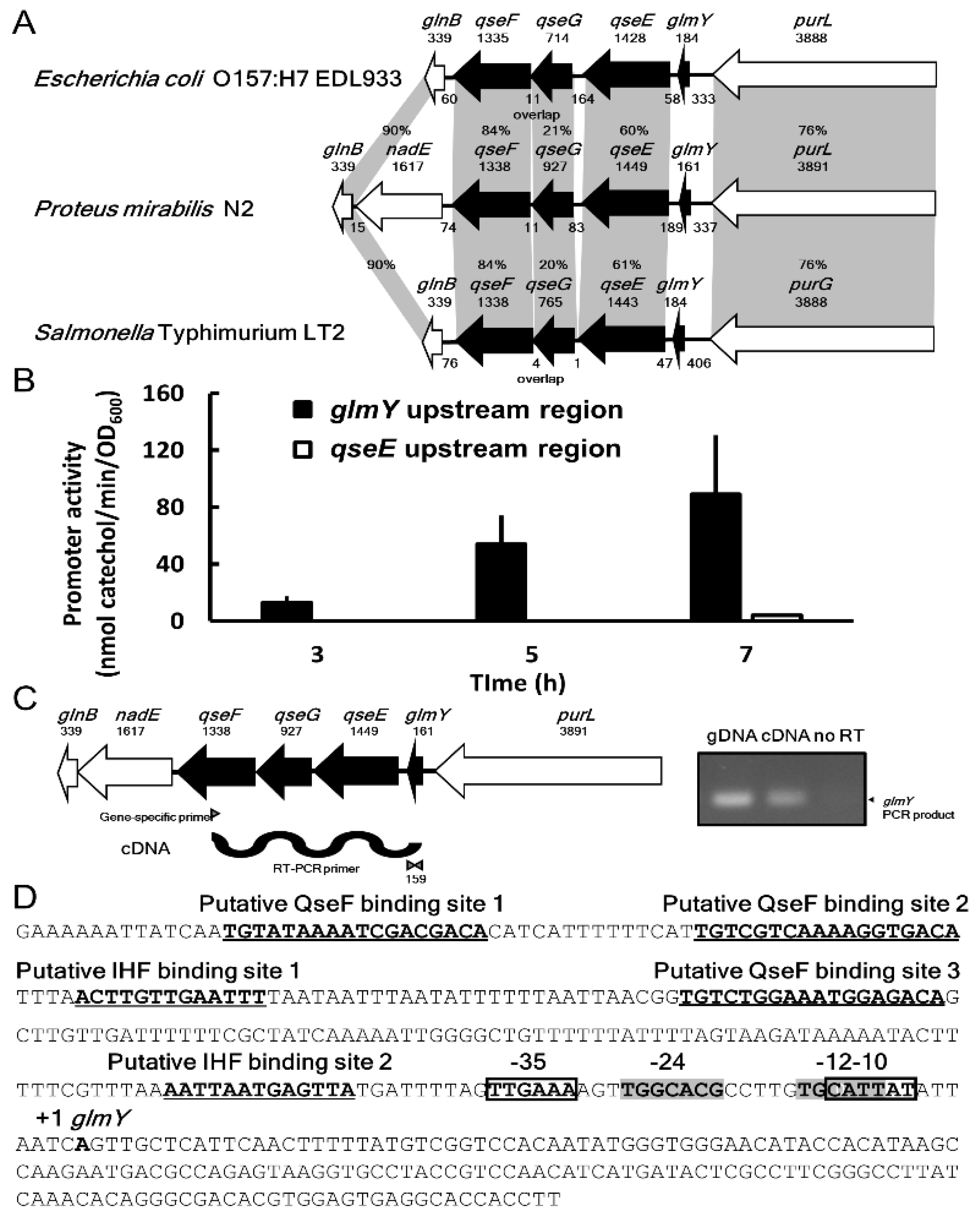 Ijms 23 00487 g001 Ijms 23 00487 g001
