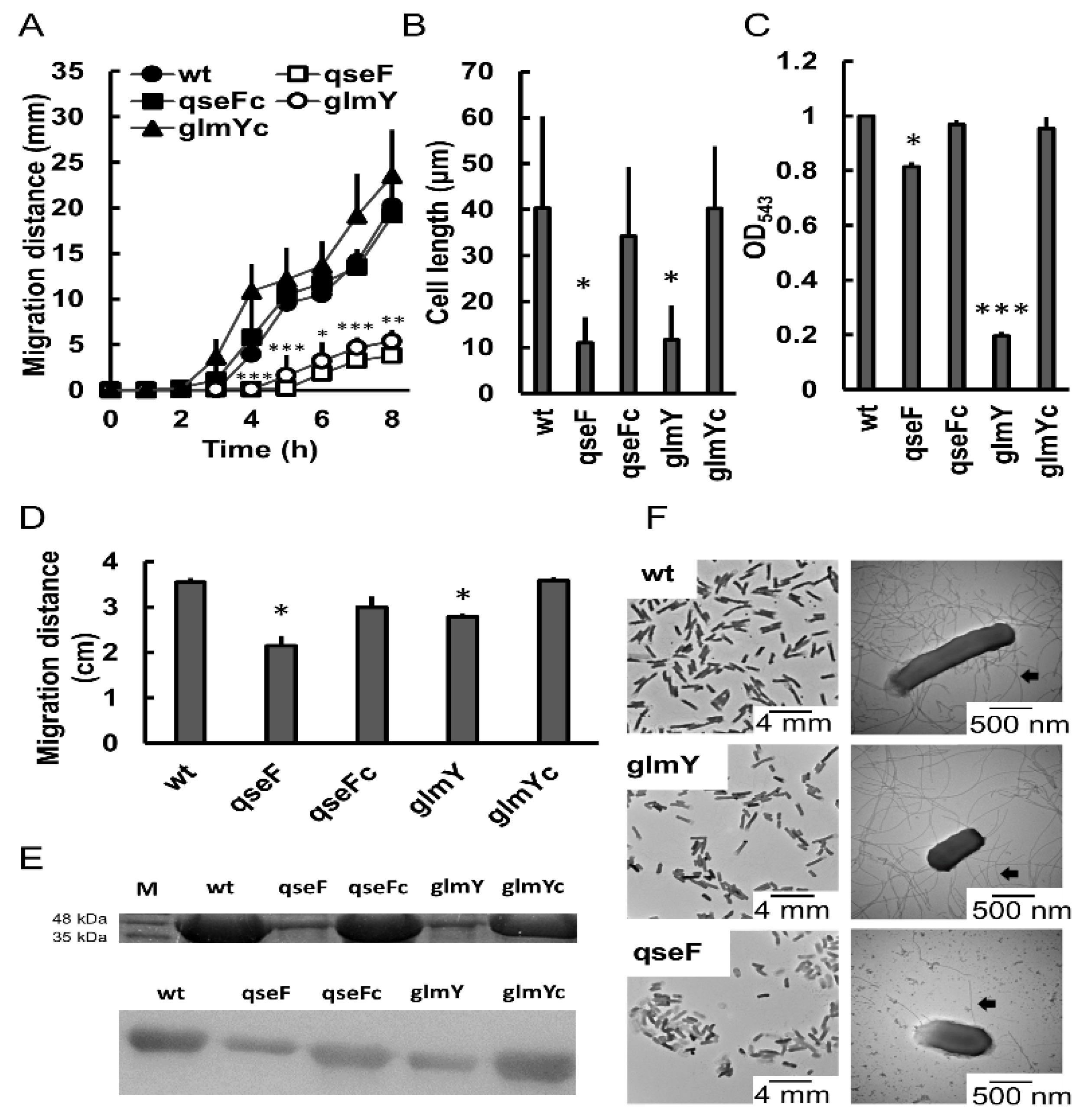 Ijms 23 00487 g002 Ijms 23 00487 g002